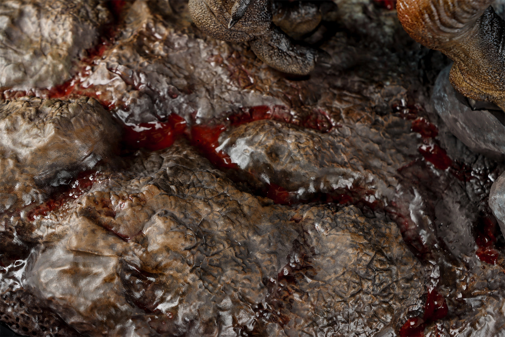 Zeta Studio Montana Tyrannosaurus Rex Model