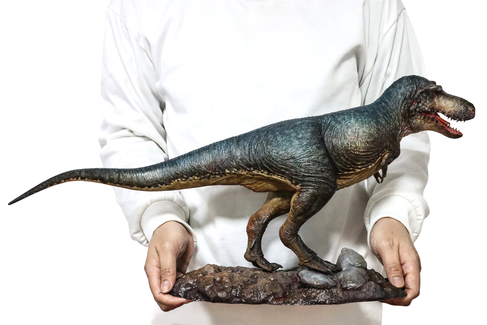 Zeta Studio Montana Tyrannosaurus Rex Model