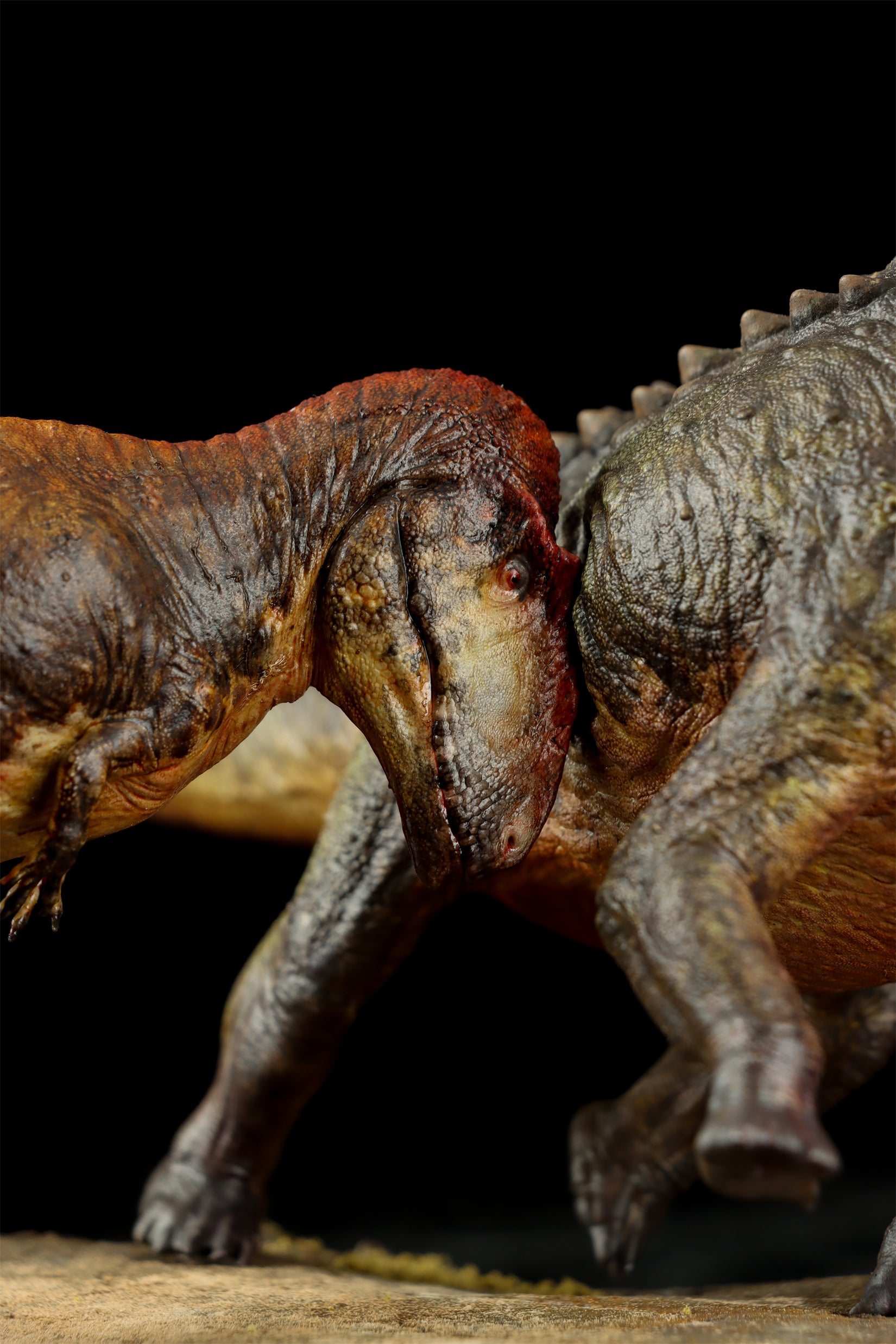 Anningpale Tyrannotitan VS Patagotitan Scene Model
