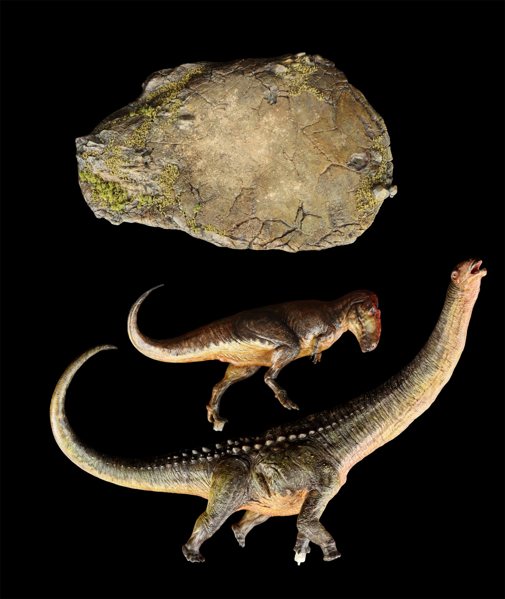 Anningpale Tyrannotitan VS Patagotitan Scene Model