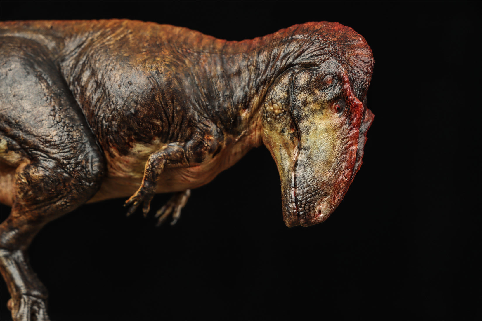 Anningpale Tyrannotitan VS Patagotitan Scene Model