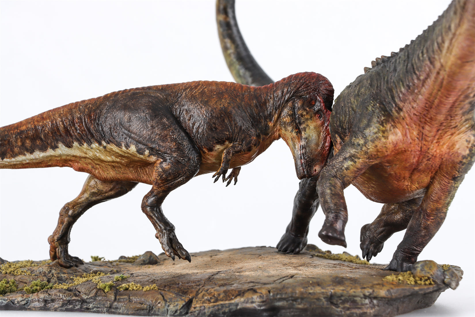 Anningpale Tyrannotitan VS Patagotitan Scene Model