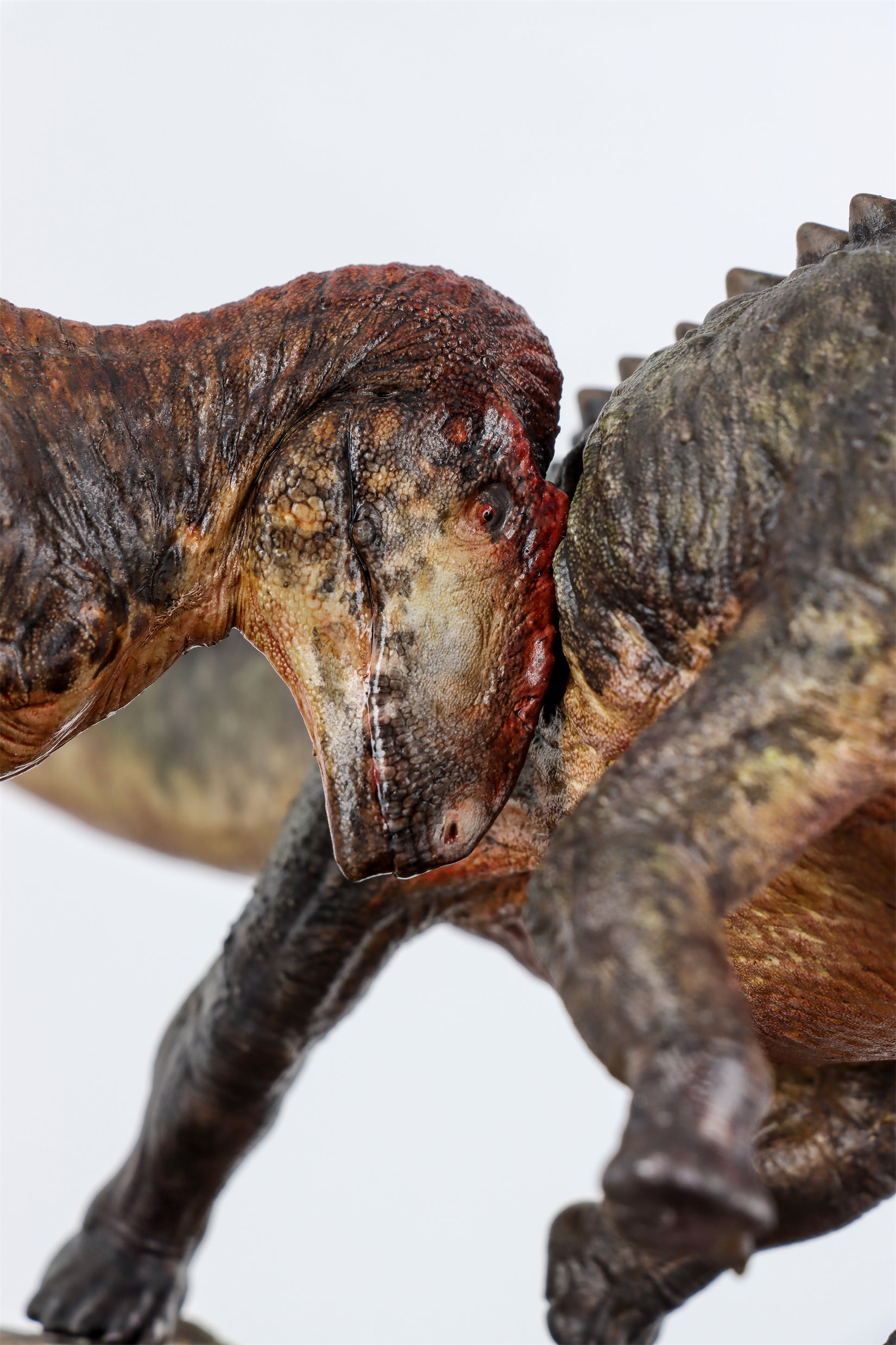 Anningpale Tyrannotitan VS Patagotitan Scene Model