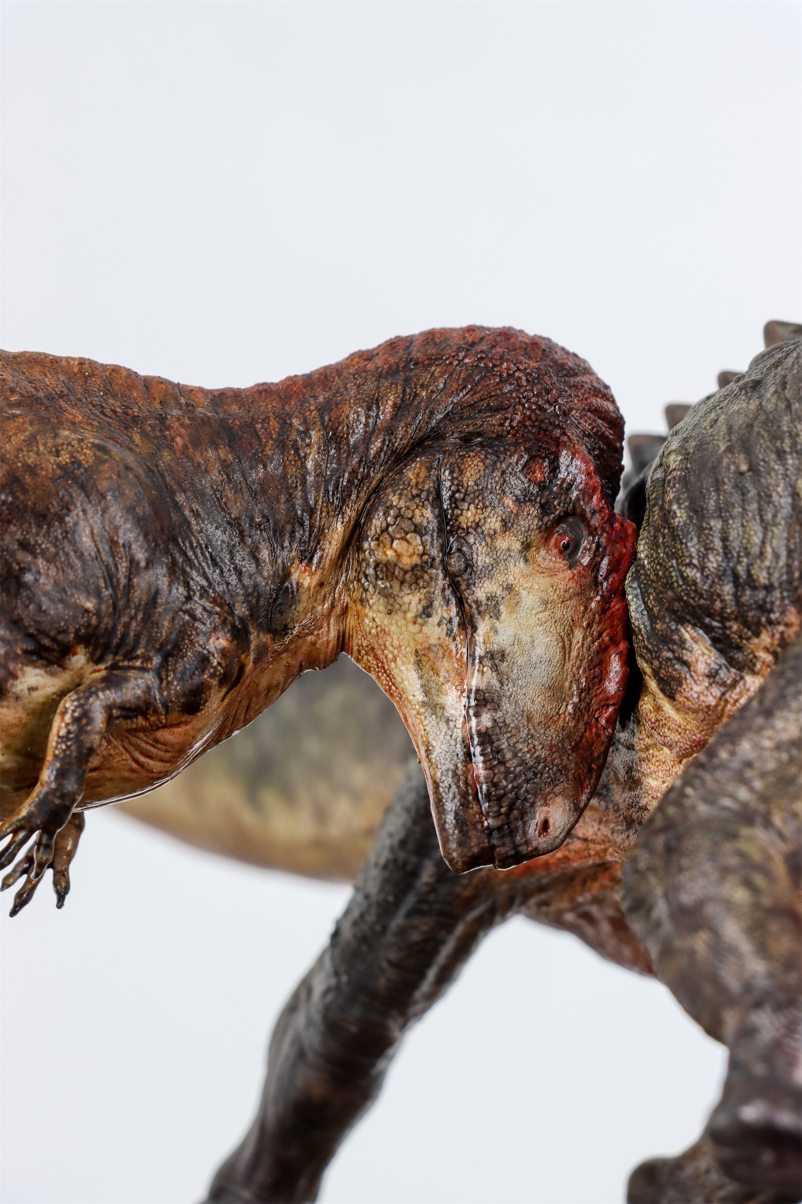 Anningpale Tyrannotitan VS Patagotitan Scene Model