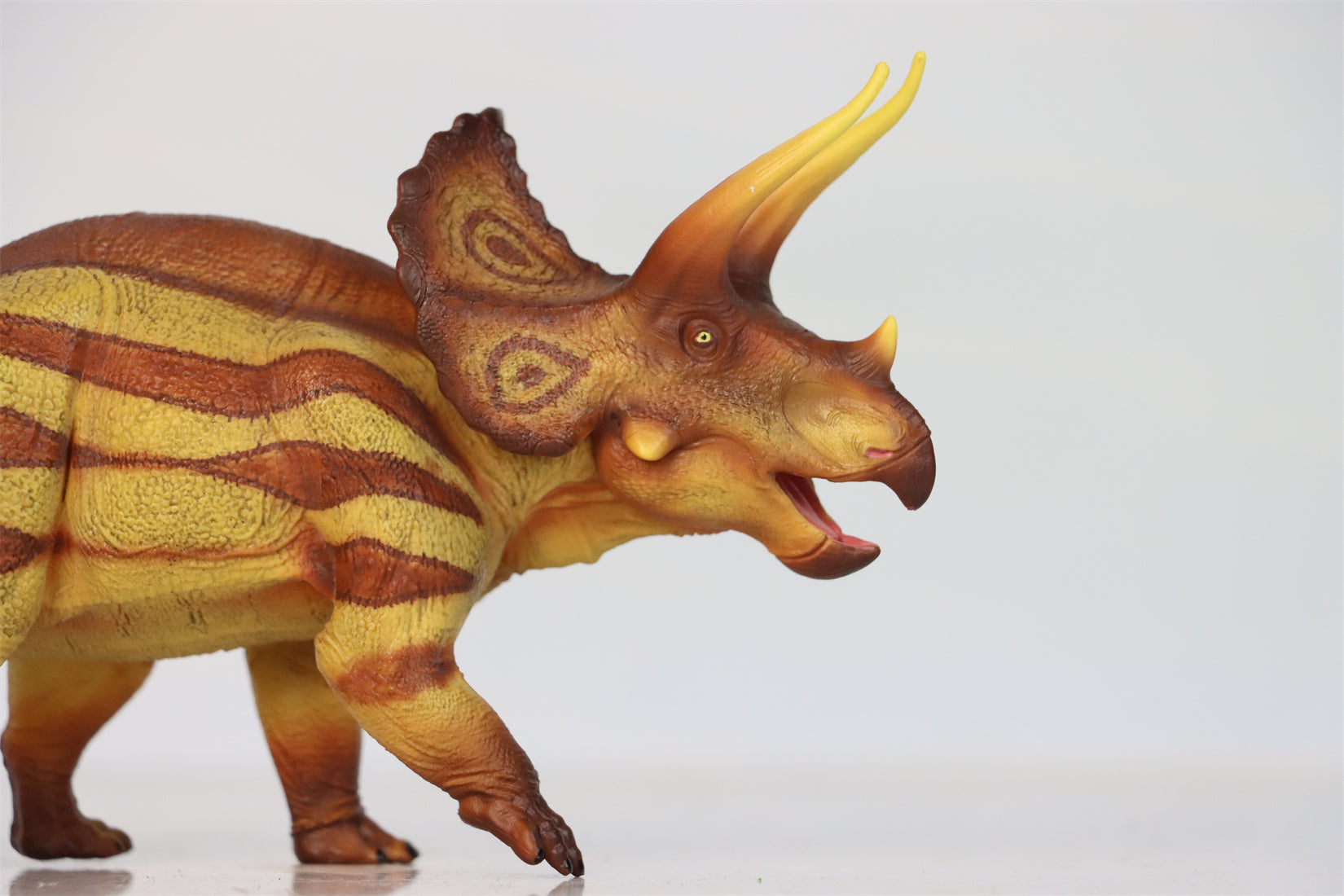 RECUR 1:35 Scale Triceratops Marsh Model