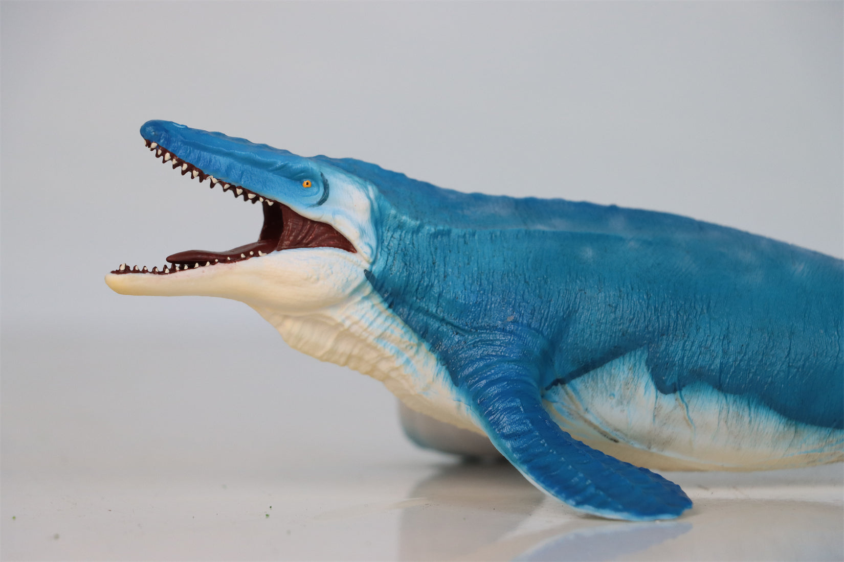 RECUR 1:35 Scale Mosasaurus Hoffmann Model