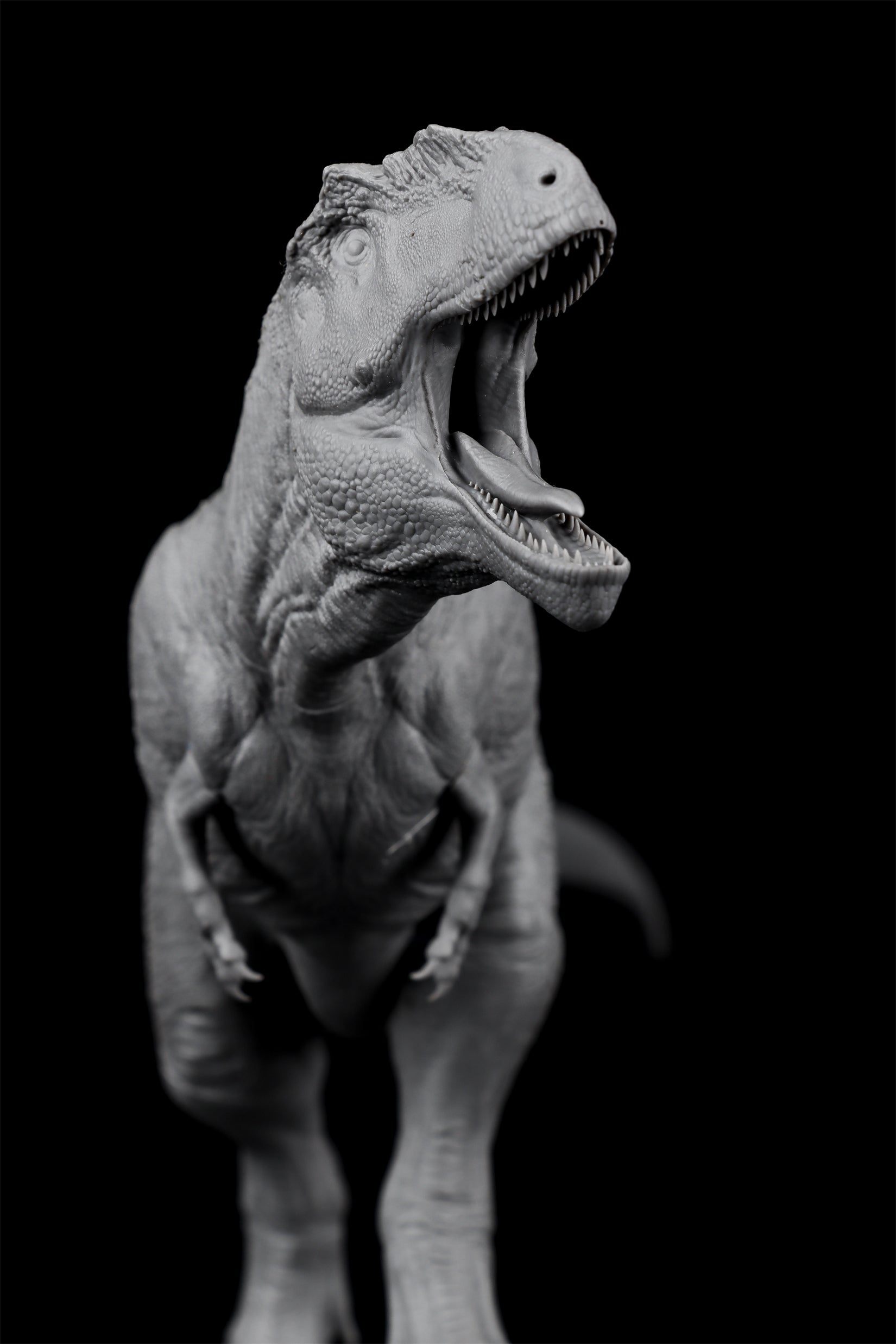 Anningpale 1/35 Scale Tyrannotitan chubutensis Model