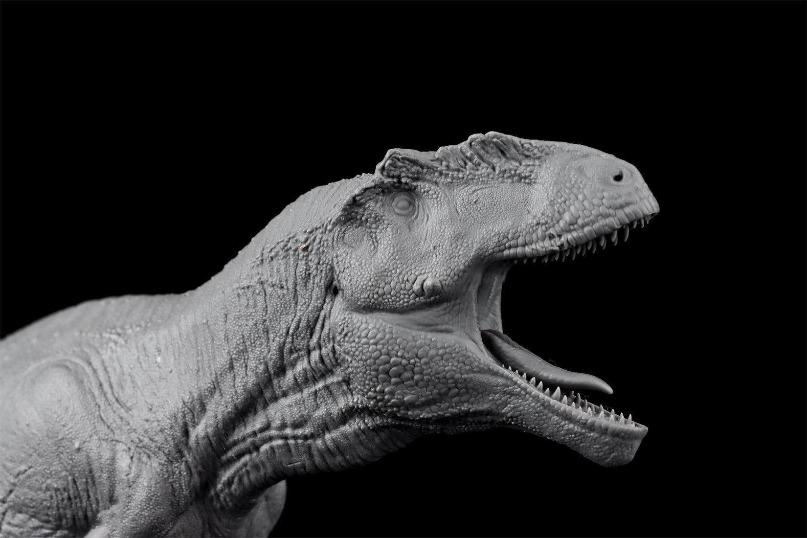 Anningpale 1/35 Scale Tyrannotitan chubutensis Model