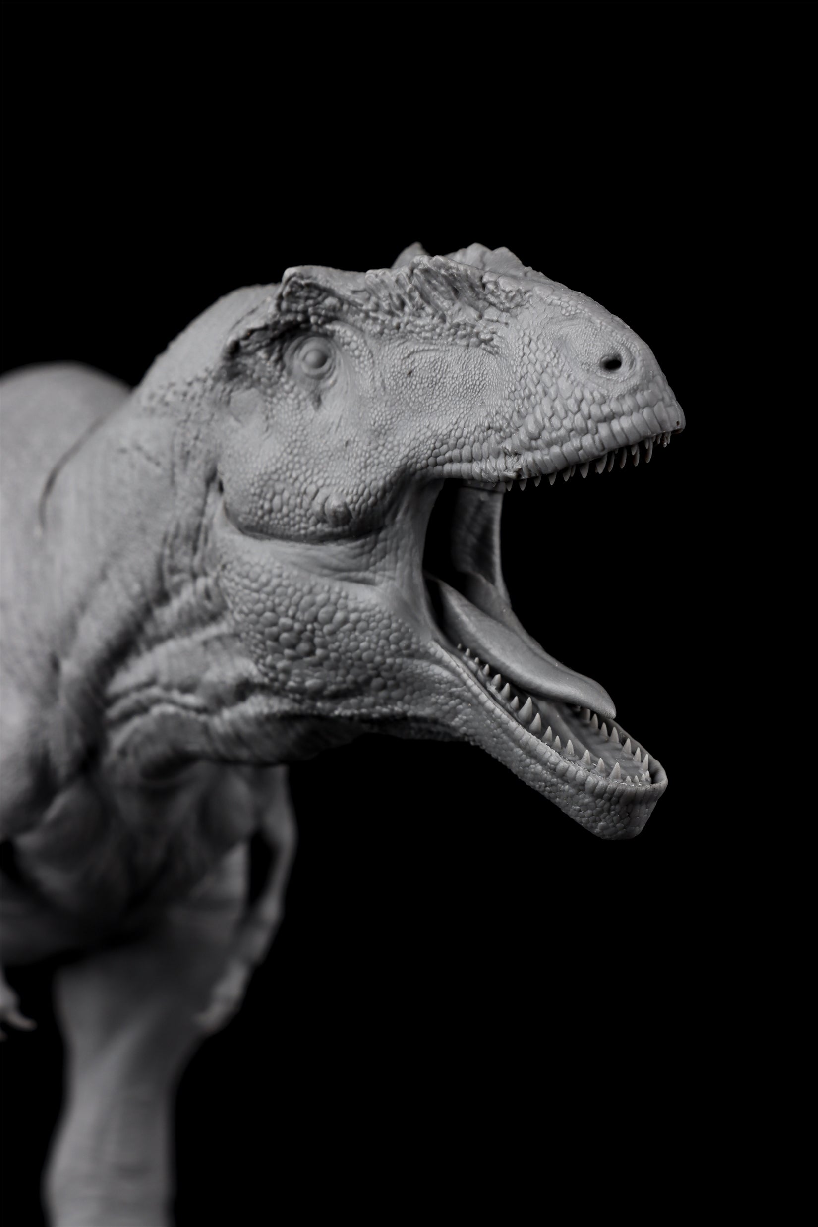 Anningpale 1/35 Scale Tyrannotitan chubutensis Model