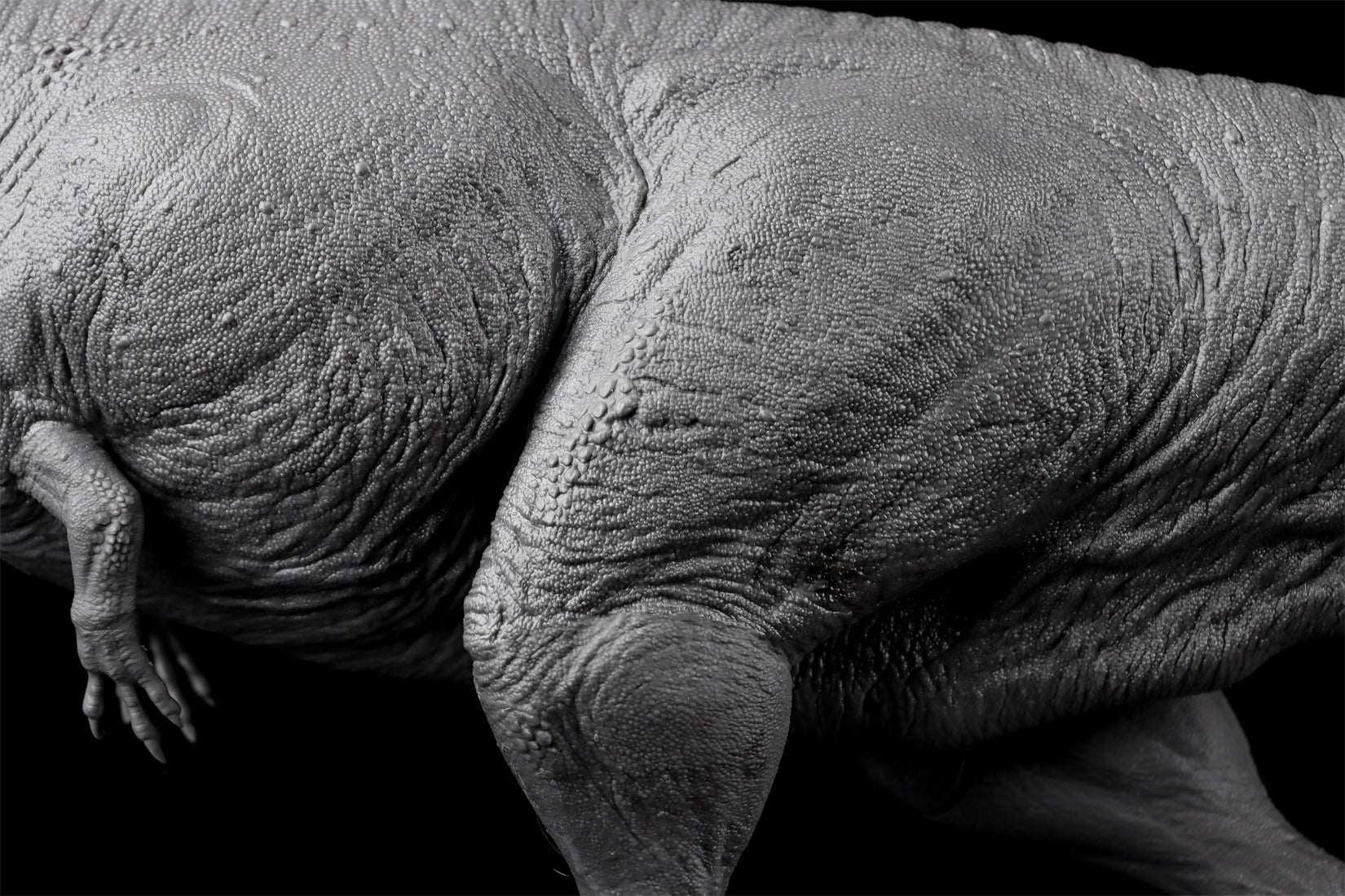 Anningpale 1/35 Scale Tyrannotitan chubutensis Model