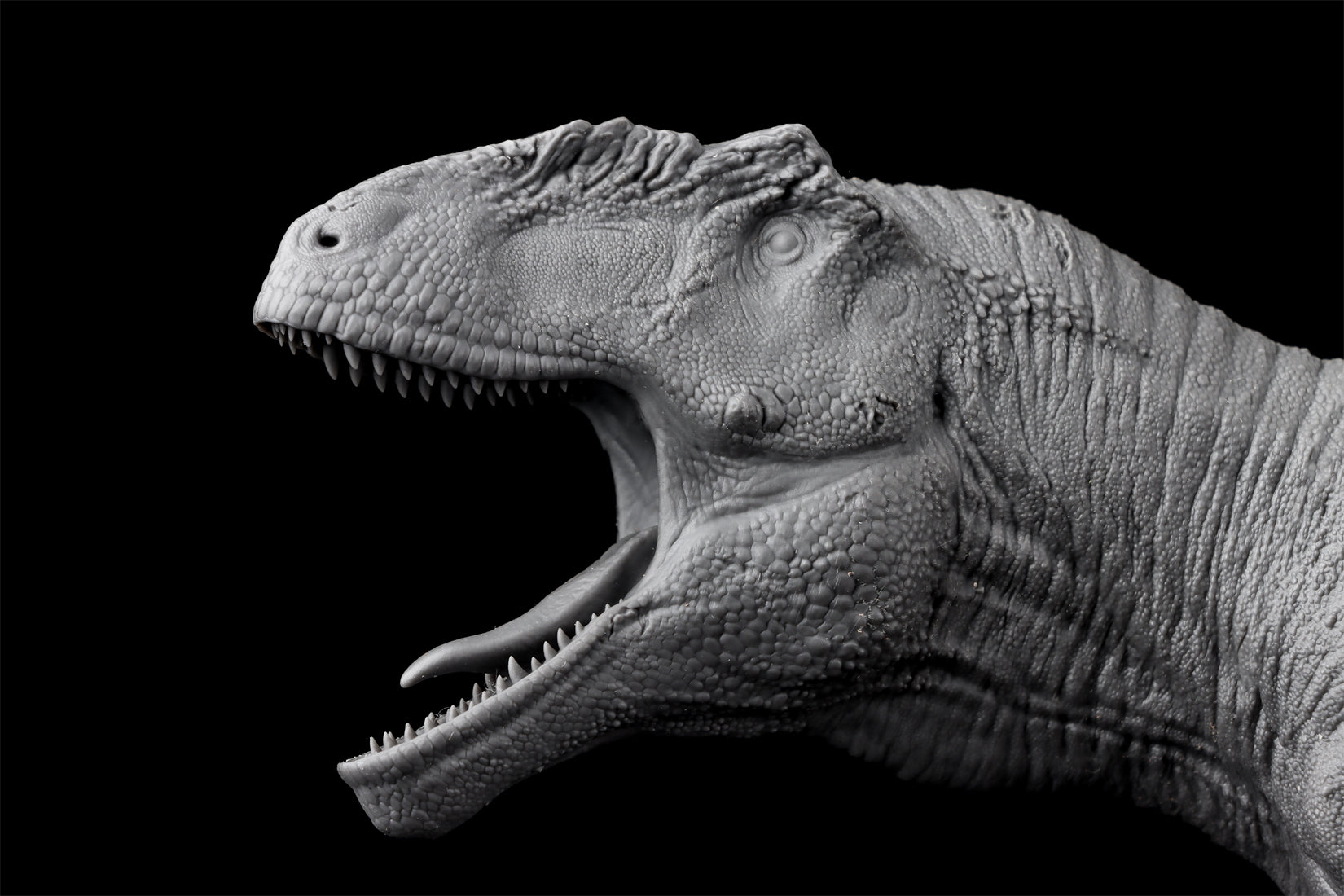 Anningpale 1/35 Scale Tyrannotitan chubutensis Model