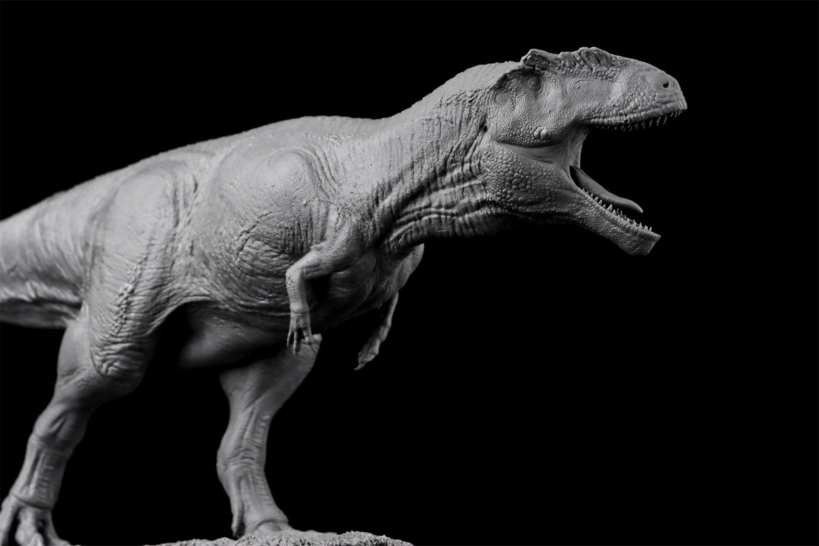 Anningpale 1/35 Scale Tyrannotitan chubutensis Model