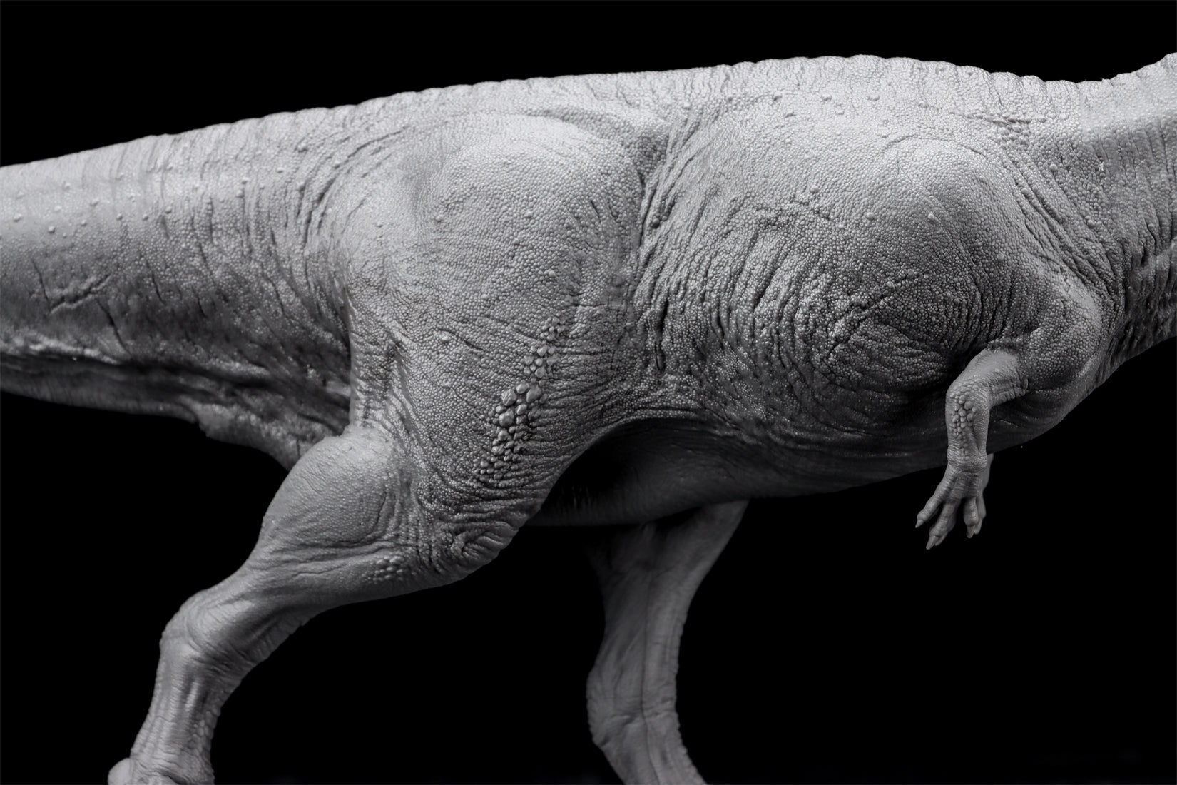 Anningpale 1/35 Scale Tyrannotitan chubutensis Model