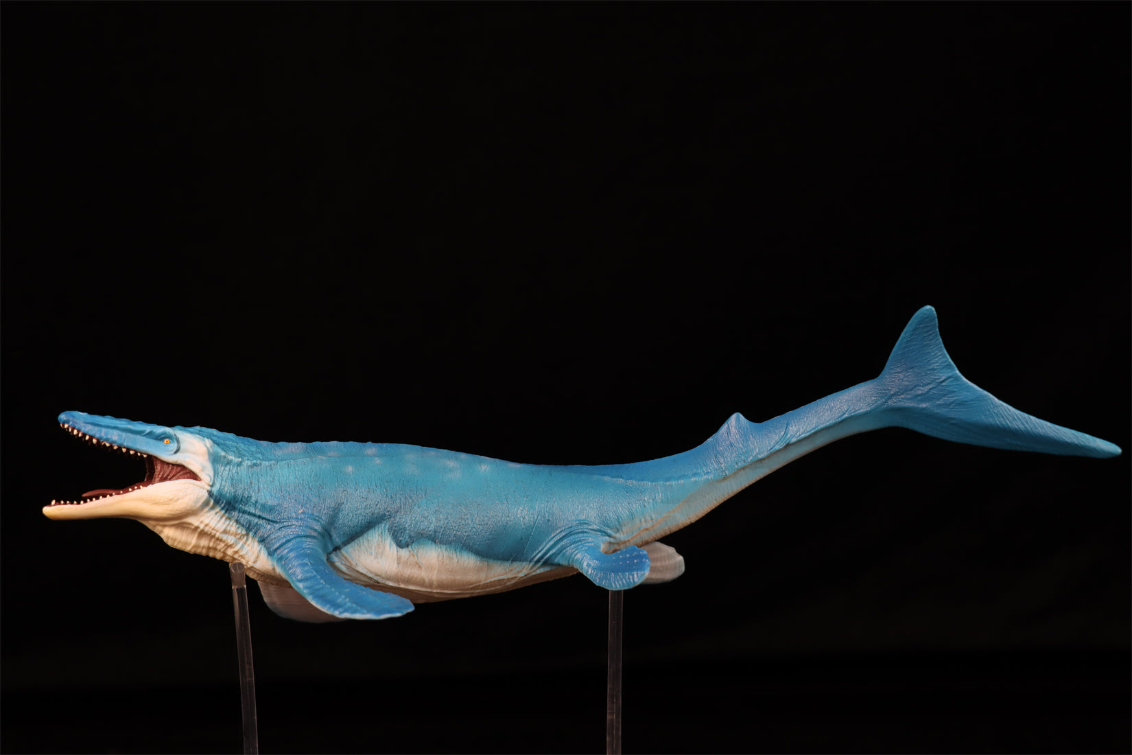 RECUR 1:35 Scale Mosasaurus Hoffmann Model