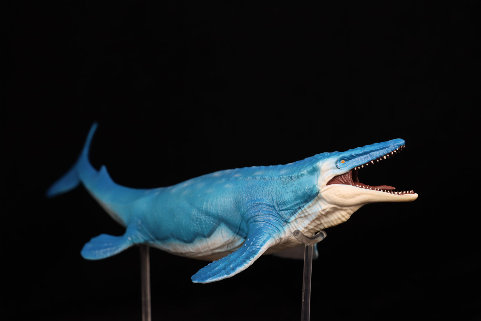 RECUR 1:35 Scale Mosasaurus Hoffmann Model