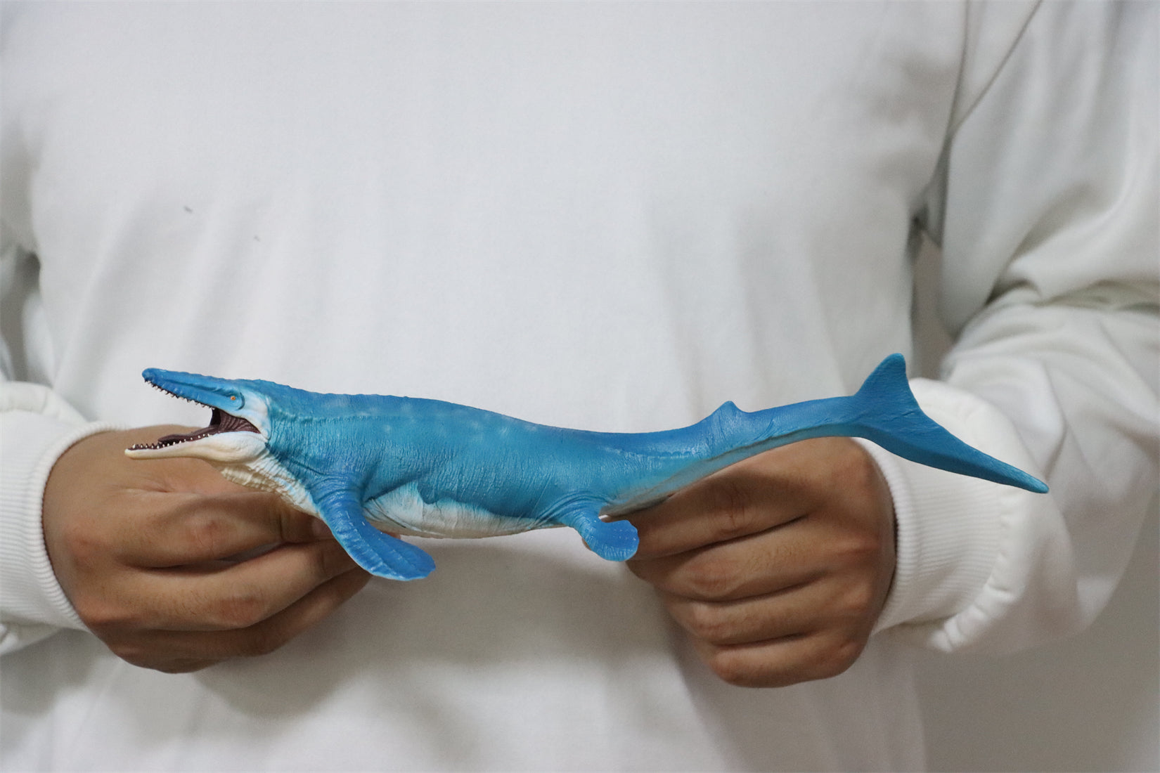 RECUR 1:35 Scale Mosasaurus Hoffmann Model
