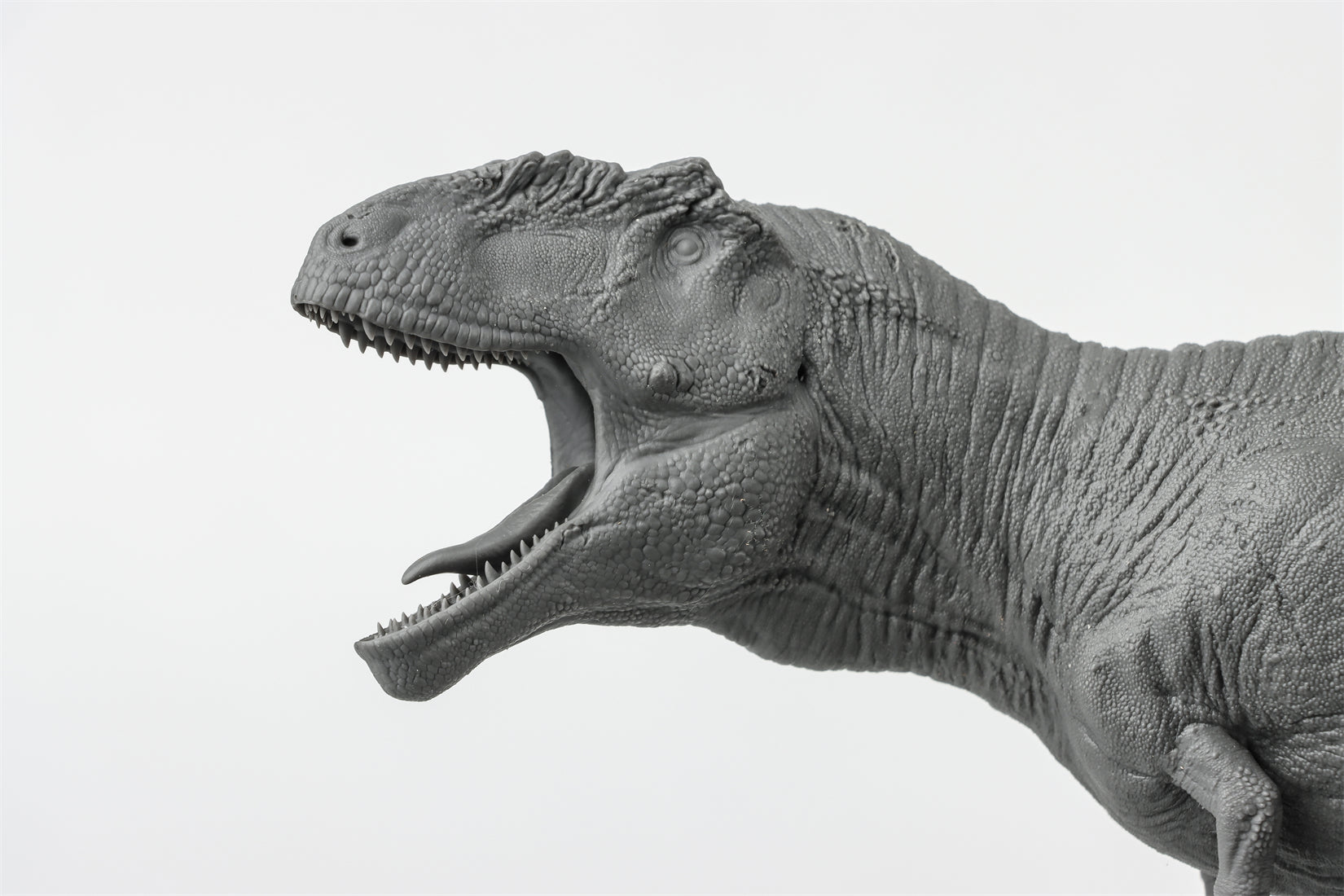 Anningpale 1/35 Scale Tyrannotitan chubutensis Model