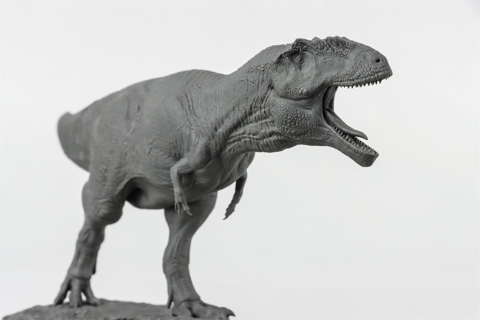 Anningpale 1/35 Scale Tyrannotitan chubutensis Model