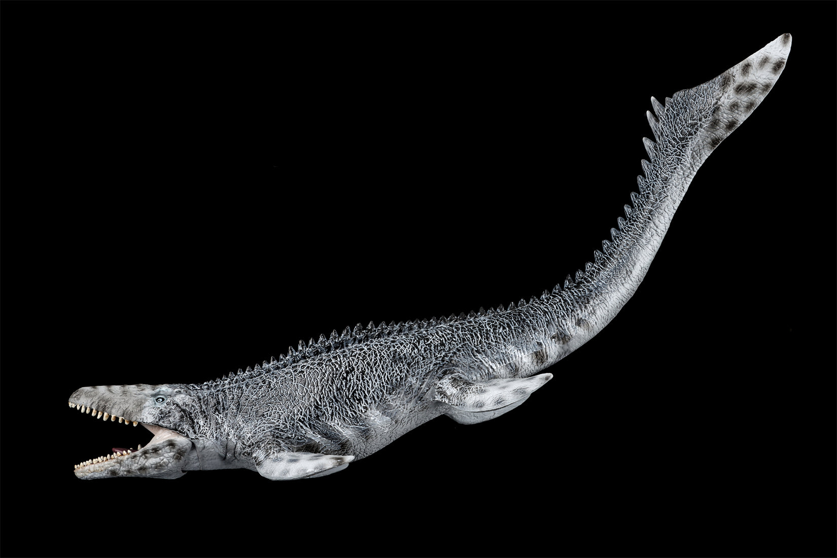 TNG Lufengosaurus Quetzalcoatlus Cryolophosaurus Saichania Sinosauropteryx Figure