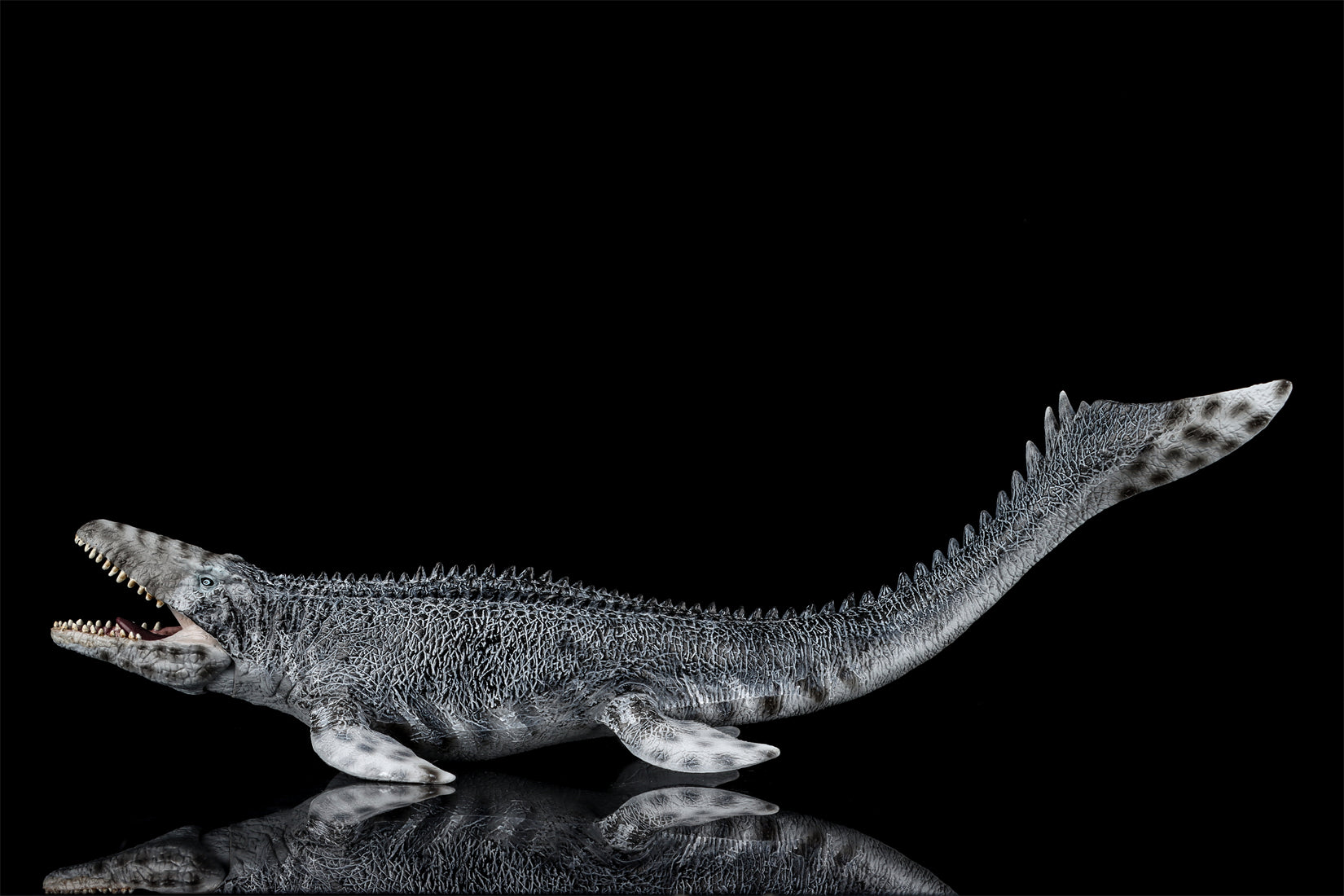 TNG Lufengosaurus Quetzalcoatlus Cryolophosaurus Saichania Sinosauropteryx Figure