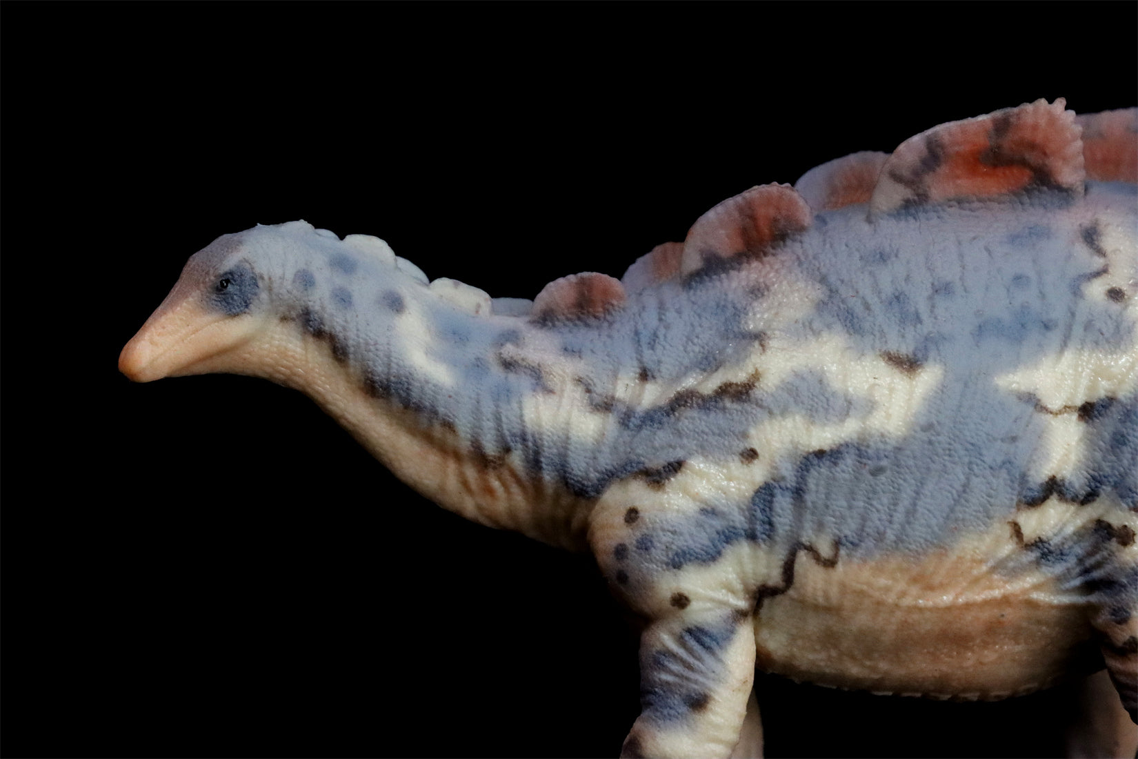 HAOLONGGOOD 1:35 Scale Wuerhosaurus Model