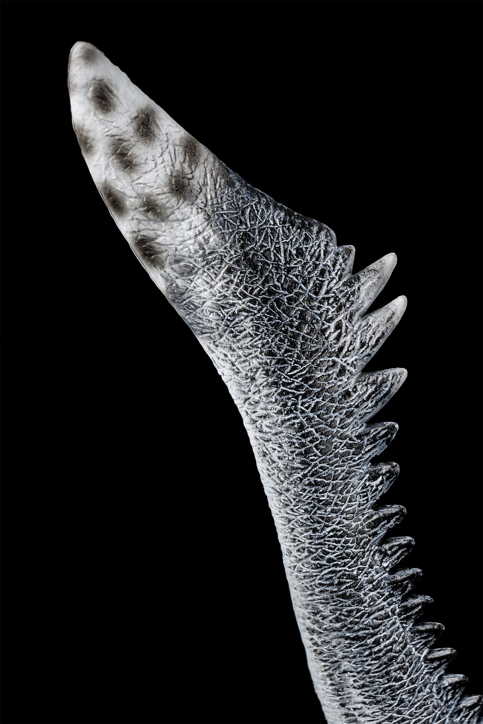 TNG Mosasaurus Figure