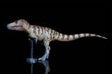PNSO Daspletosaurus Cole Model