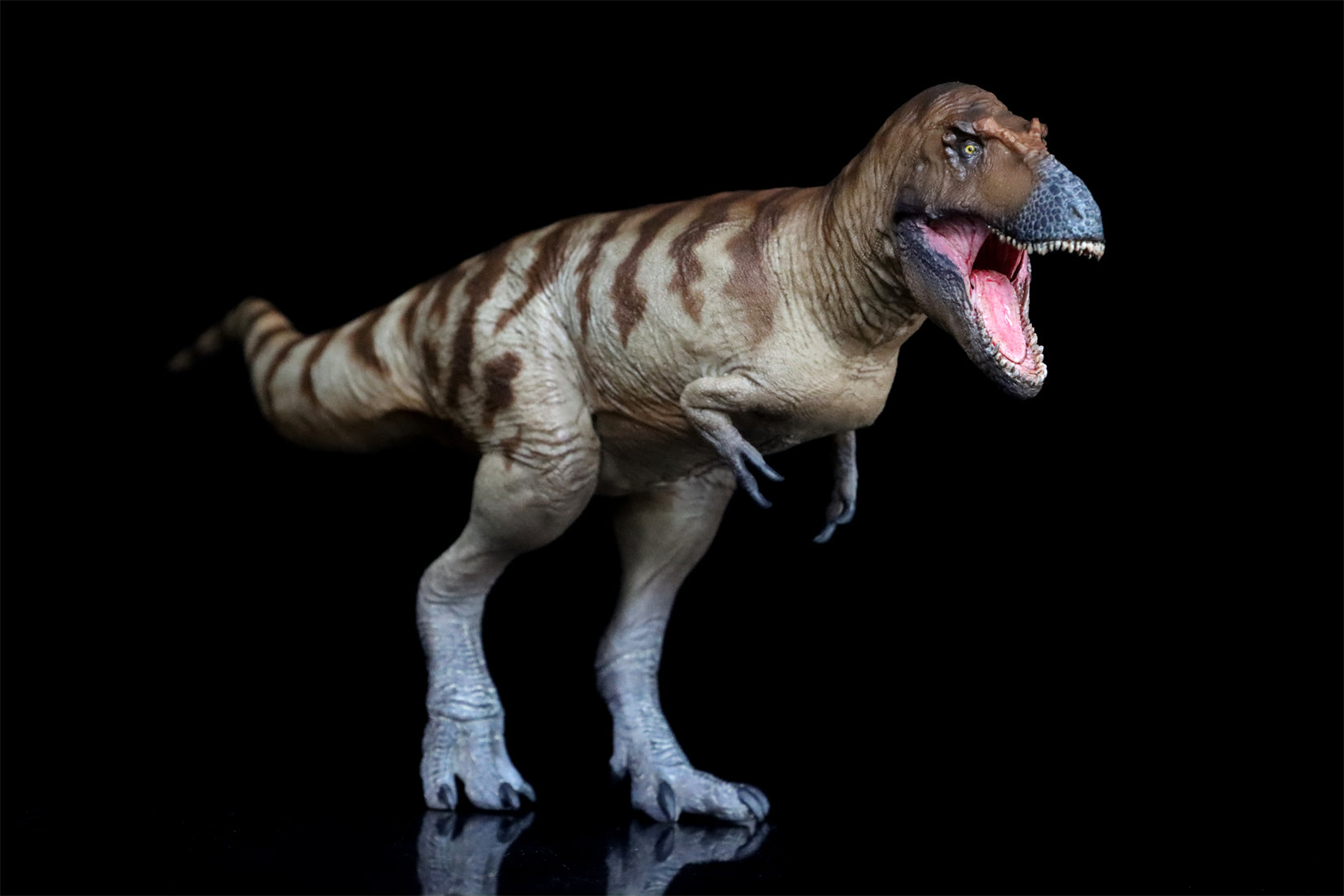 PNSO Daspletosaurus Cole Model