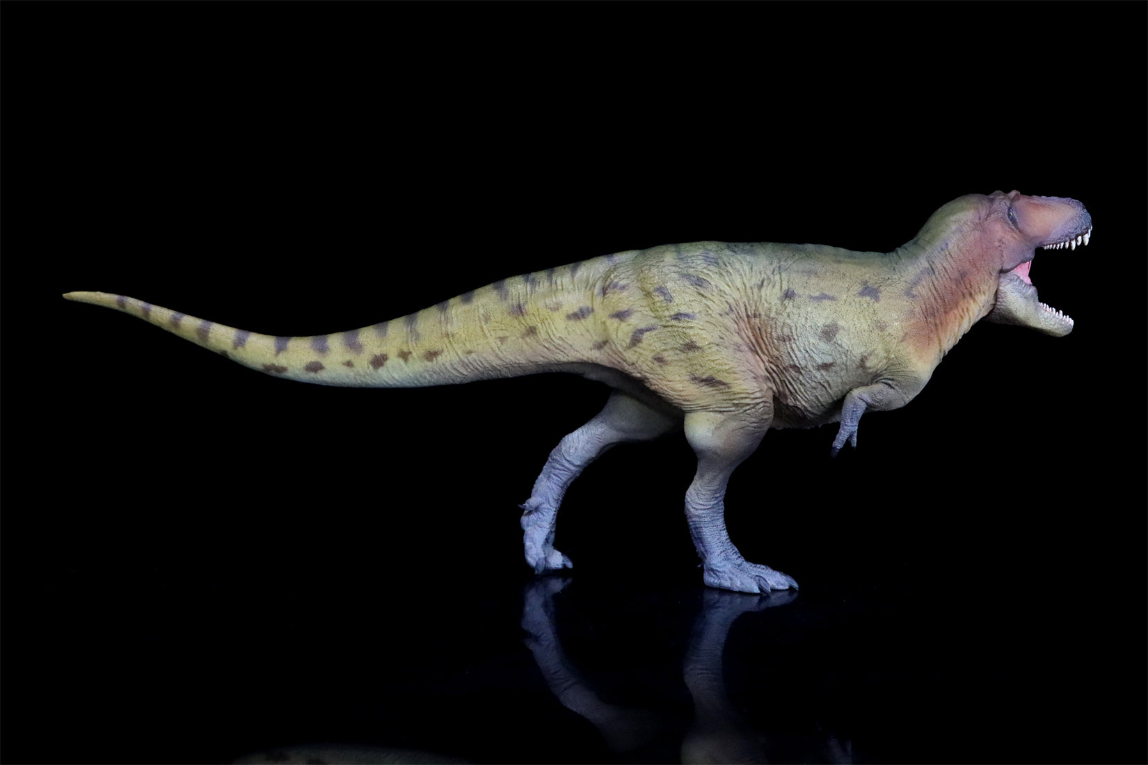 PNSO Lythronax Keynes Model