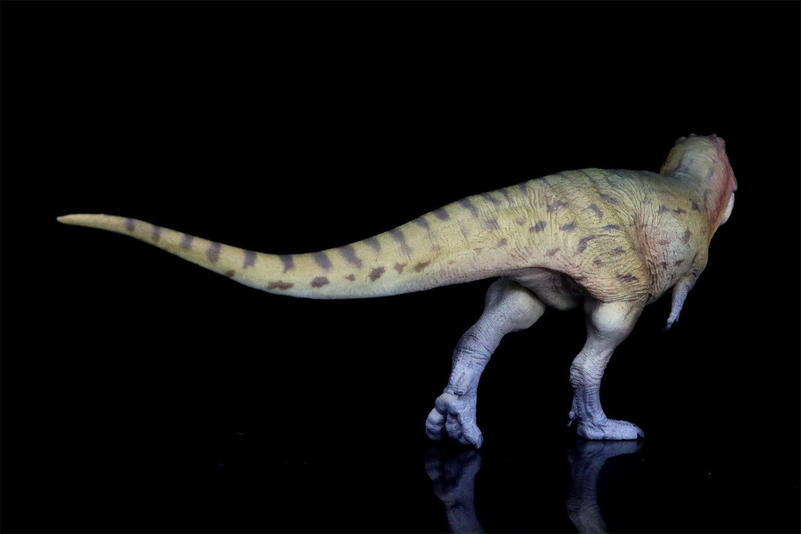 PNSO Lythronax Keynes Model