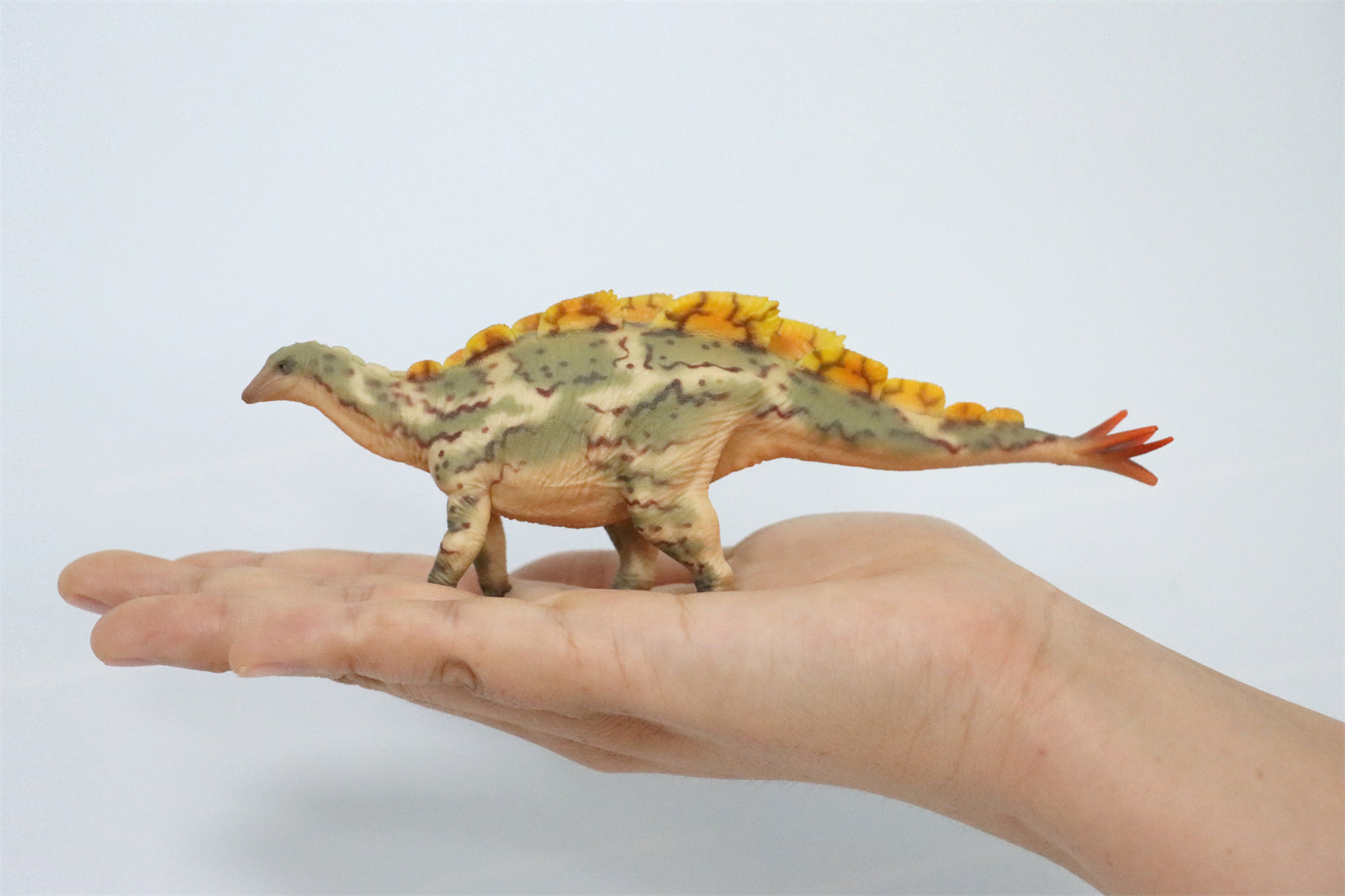 HAOLONGGOOD 1:35 Scale Wuerhosaurus Model