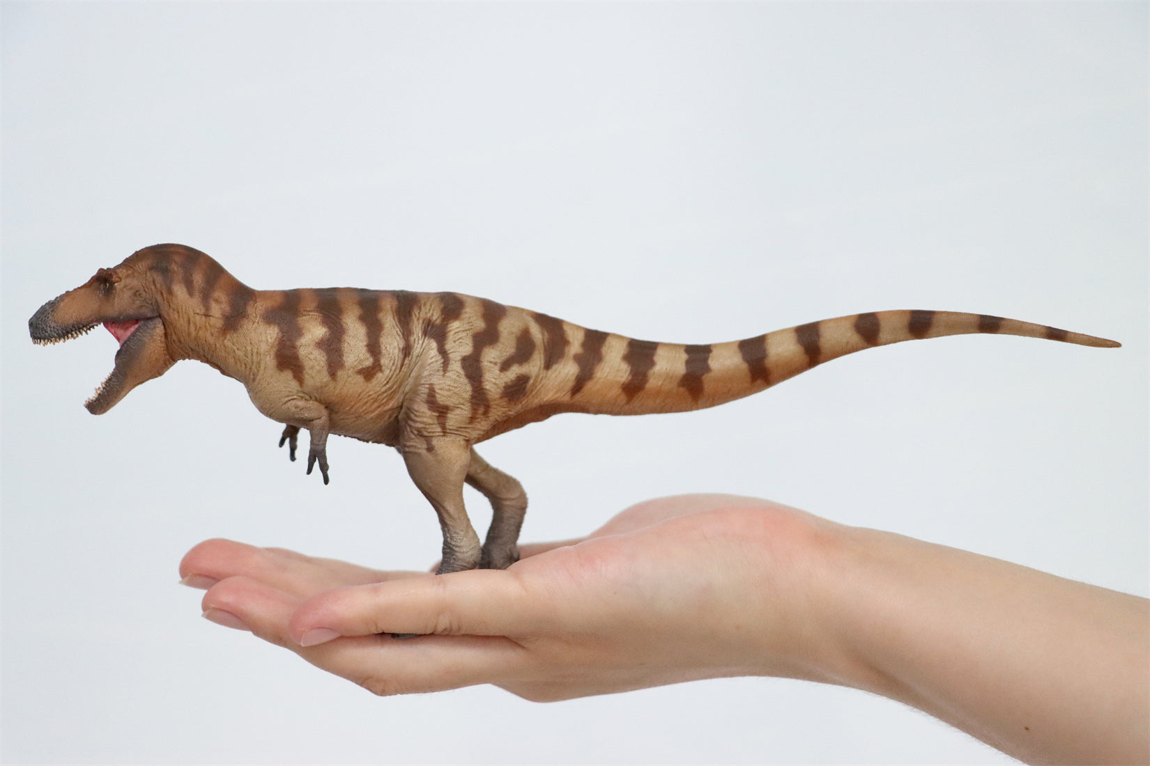 PNSO Daspletosaurus Cole Model
