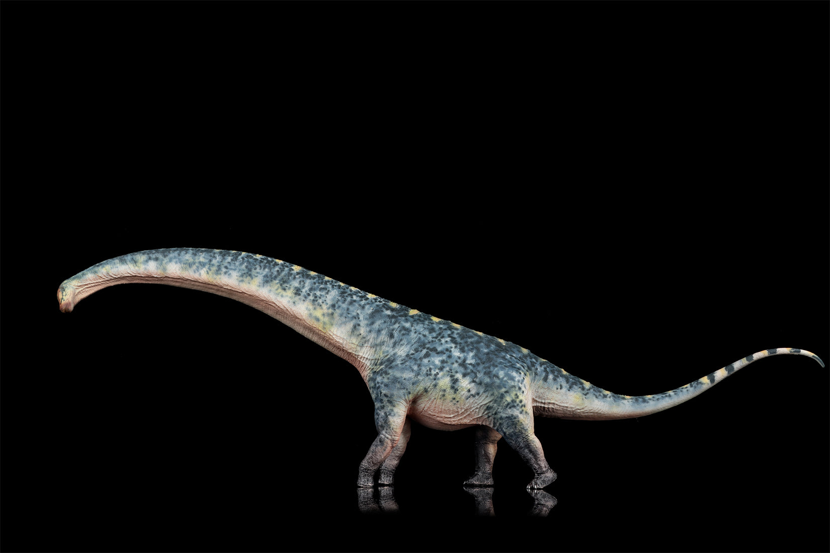 HAOLONGGOOD 1:35 Scale Dreadnoughtus Model