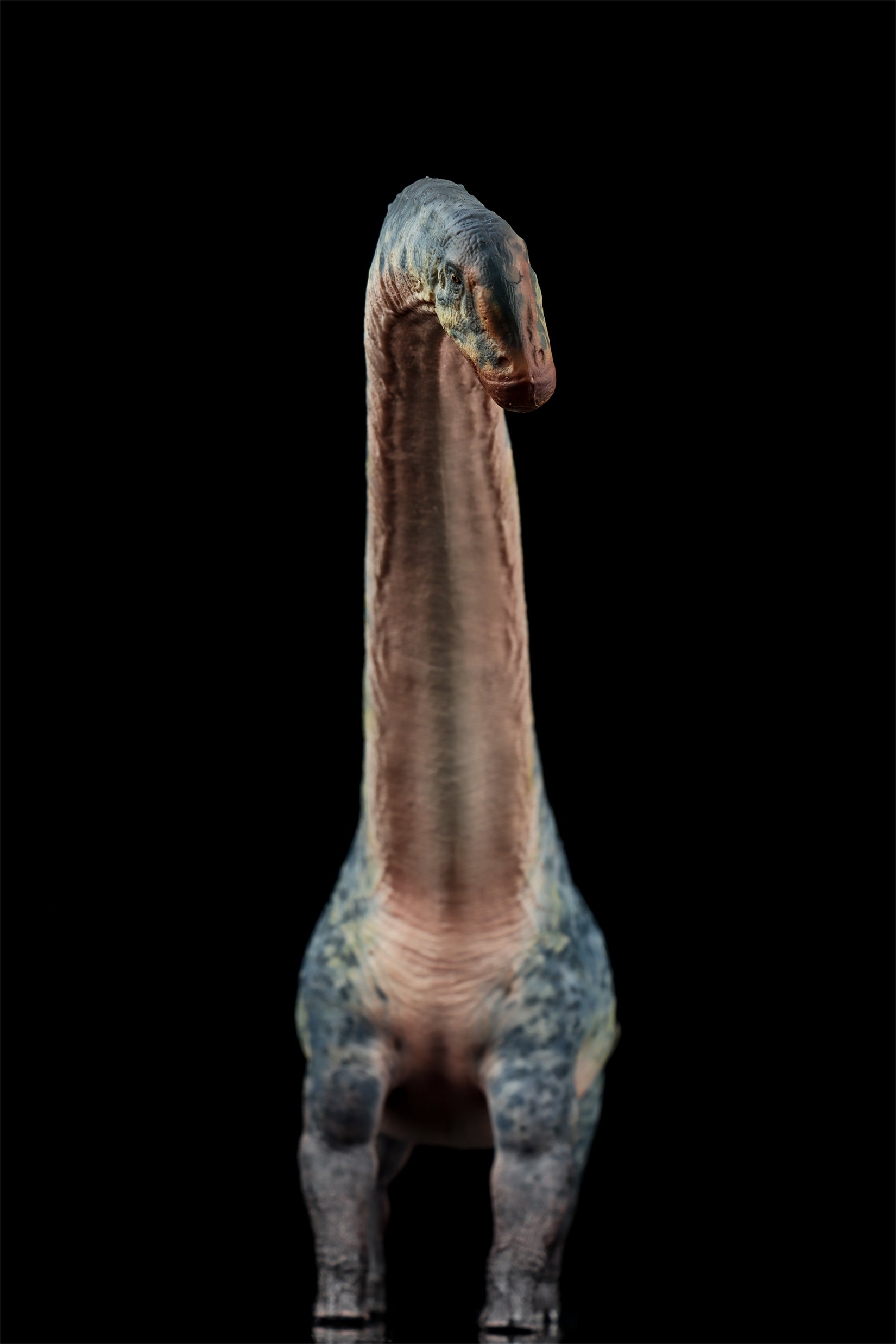 HAOLONGGOOD 1:35 Scale Dreadnoughtus Model