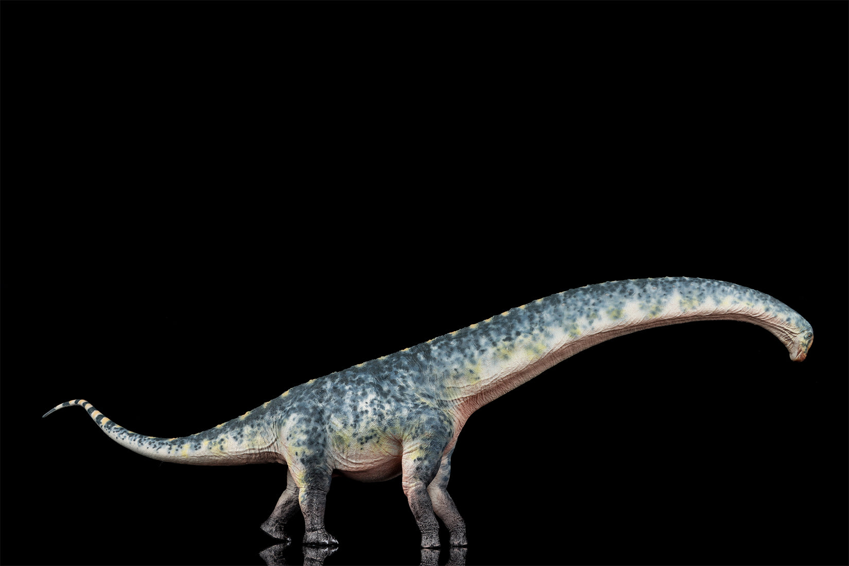 HAOLONGGOOD 1:35 Scale Dreadnoughtus Model