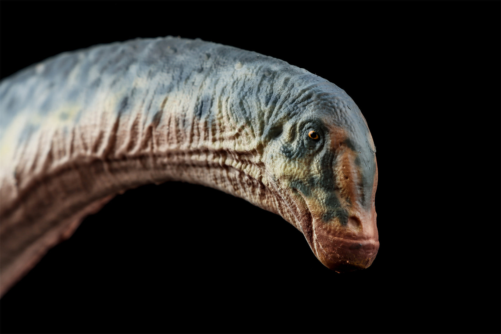 HAOLONGGOOD 1:35 Scale Dreadnoughtus Model