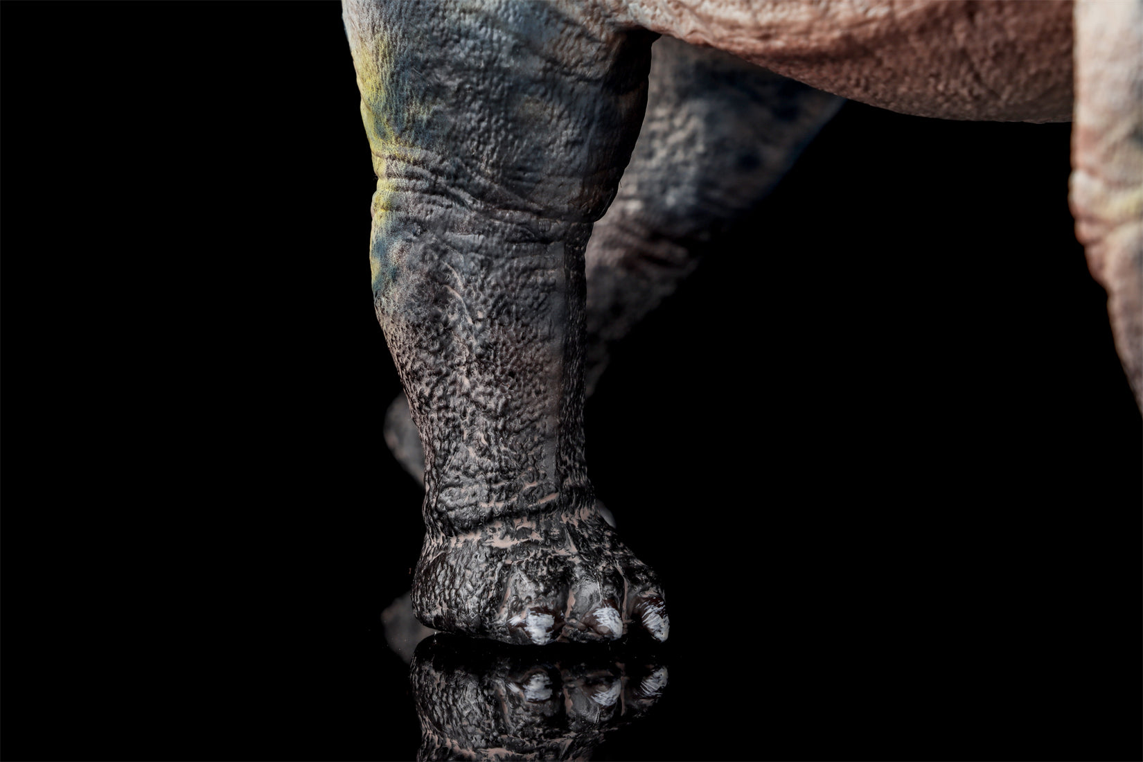 HAOLONGGOOD 1:35 Scale Dreadnoughtus Model