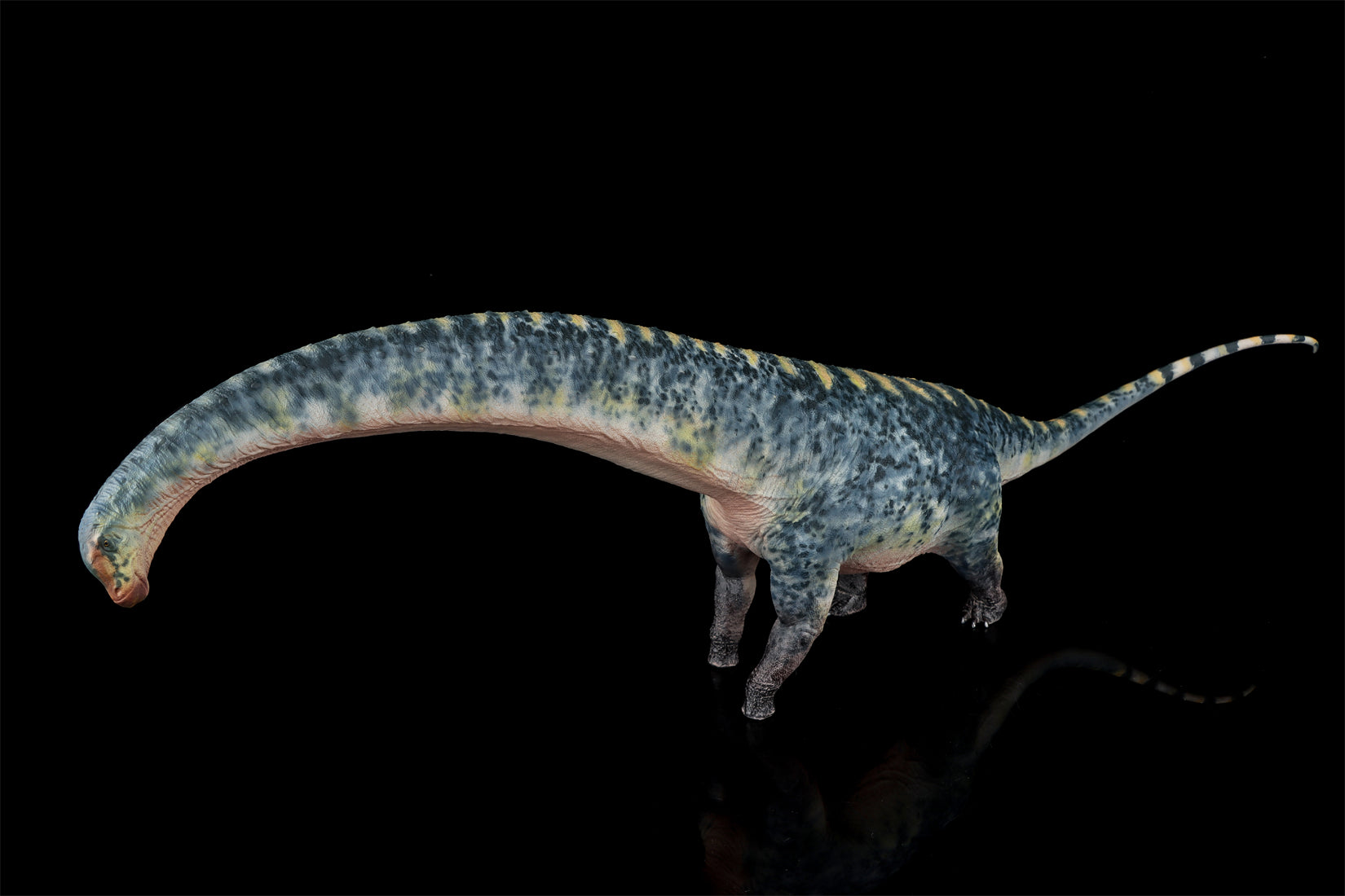 HAOLONGGOOD 1:35 Scale Dreadnoughtus Model