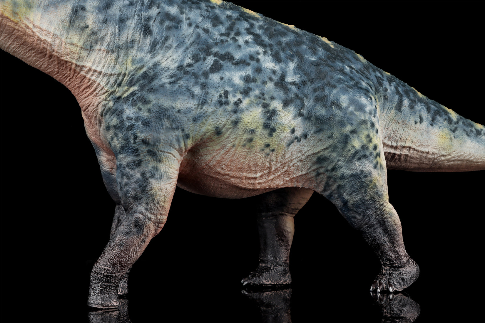HAOLONGGOOD 1:35 Scale Dreadnoughtus Model