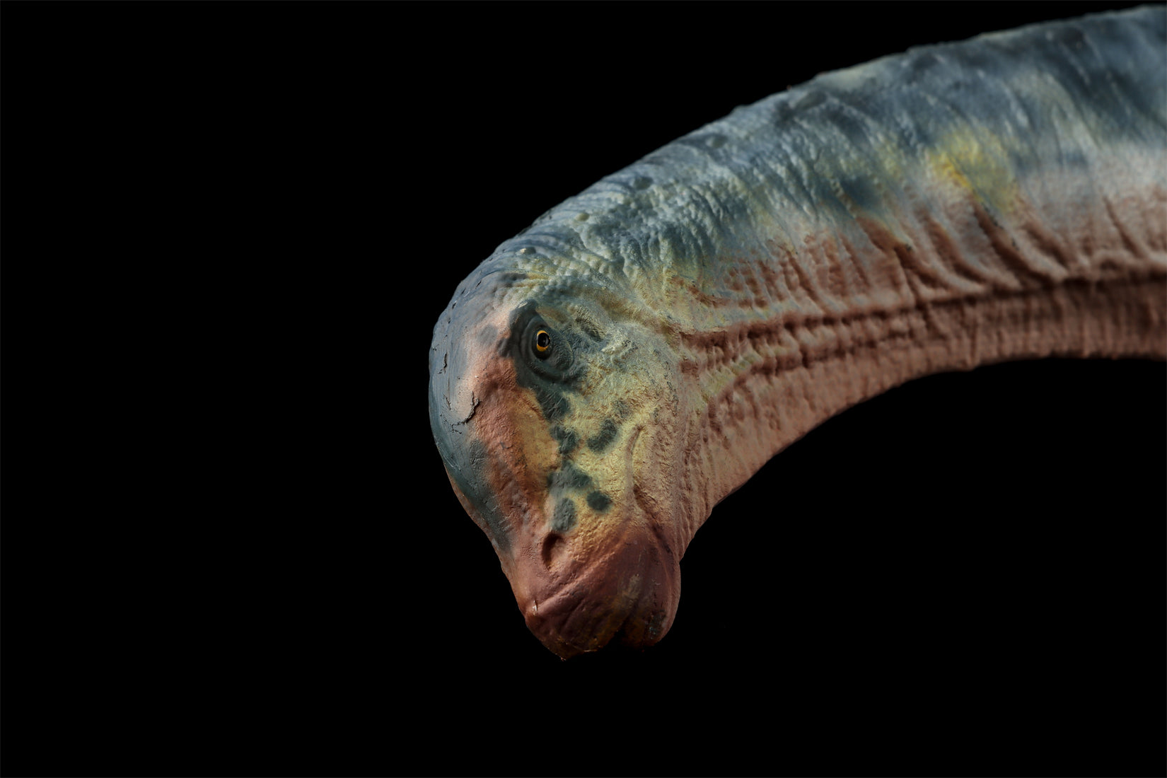 HAOLONGGOOD 1:35 Scale Dreadnoughtus Model