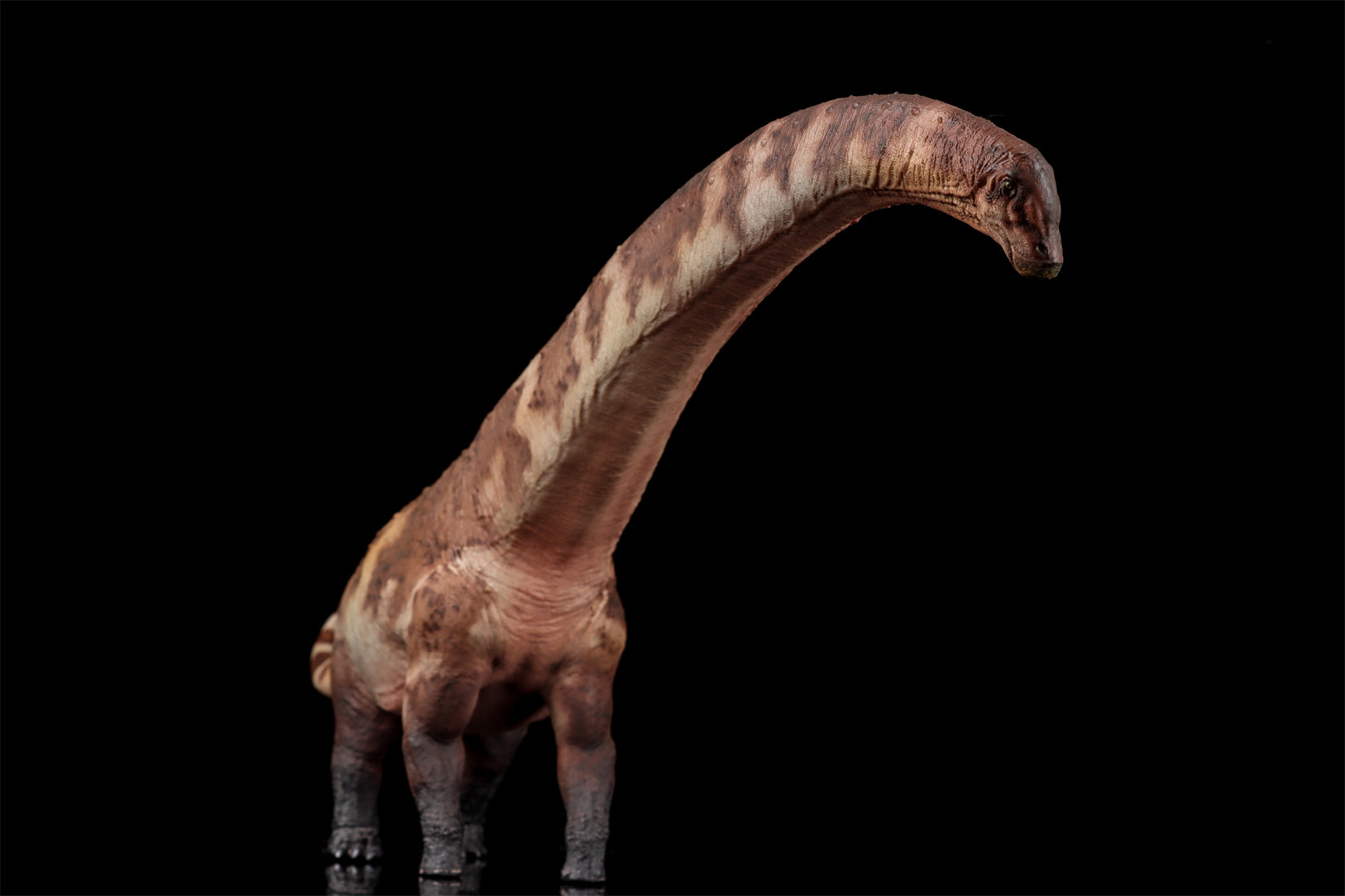 HAOLONGGOOD 1:35 Scale Dreadnoughtus Model