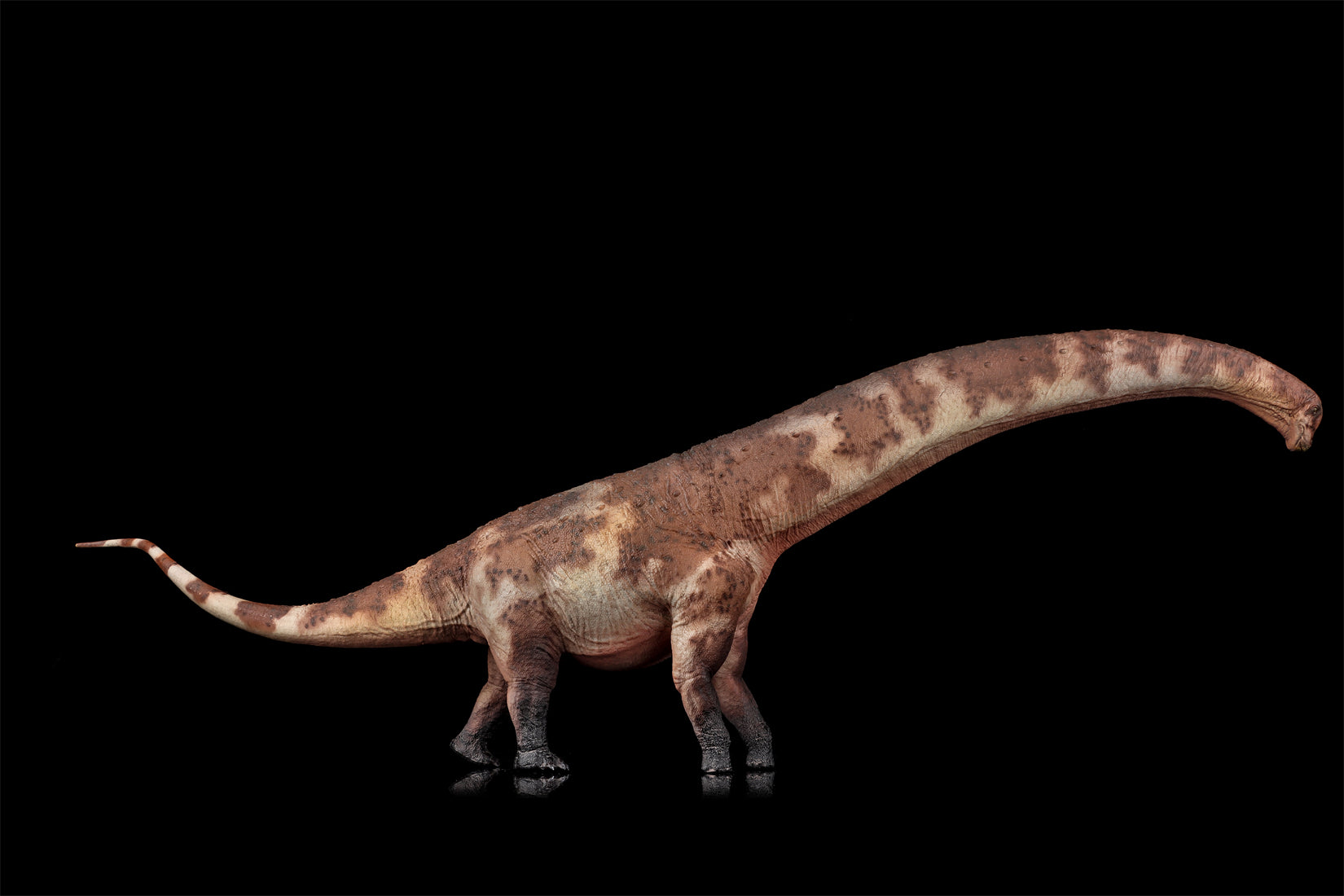 HAOLONGGOOD 1:35 Scale Dreadnoughtus Model