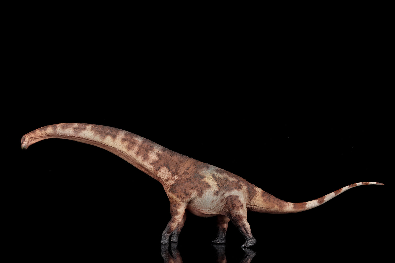 HAOLONGGOOD 1:35 Scale Dreadnoughtus Model