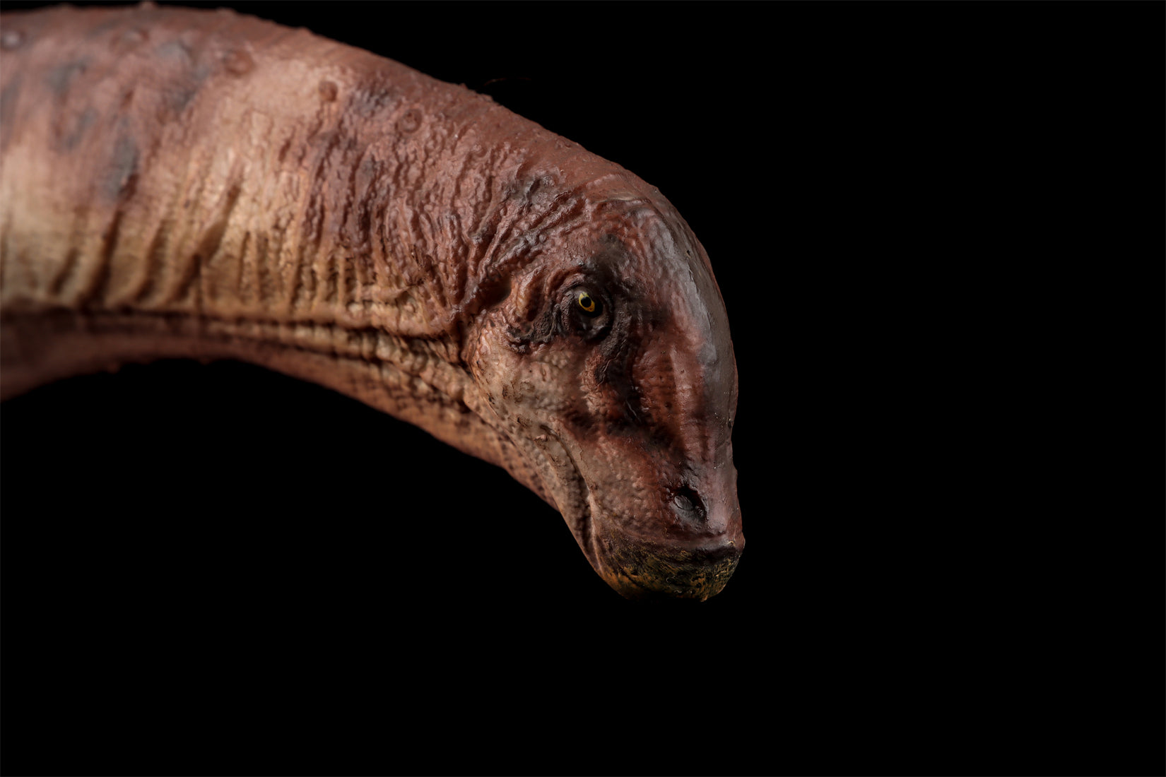 HAOLONGGOOD 1:35 Scale Dreadnoughtus Model