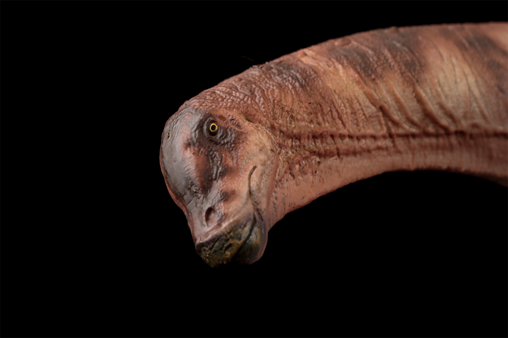 HAOLONGGOOD 1:35 Scale Dreadnoughtus Model