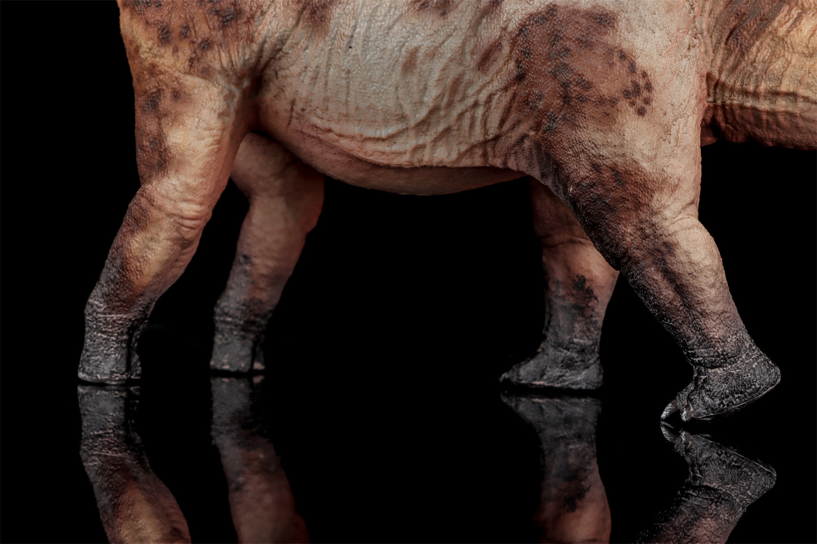 HAOLONGGOOD 1:35 Scale Dreadnoughtus Model