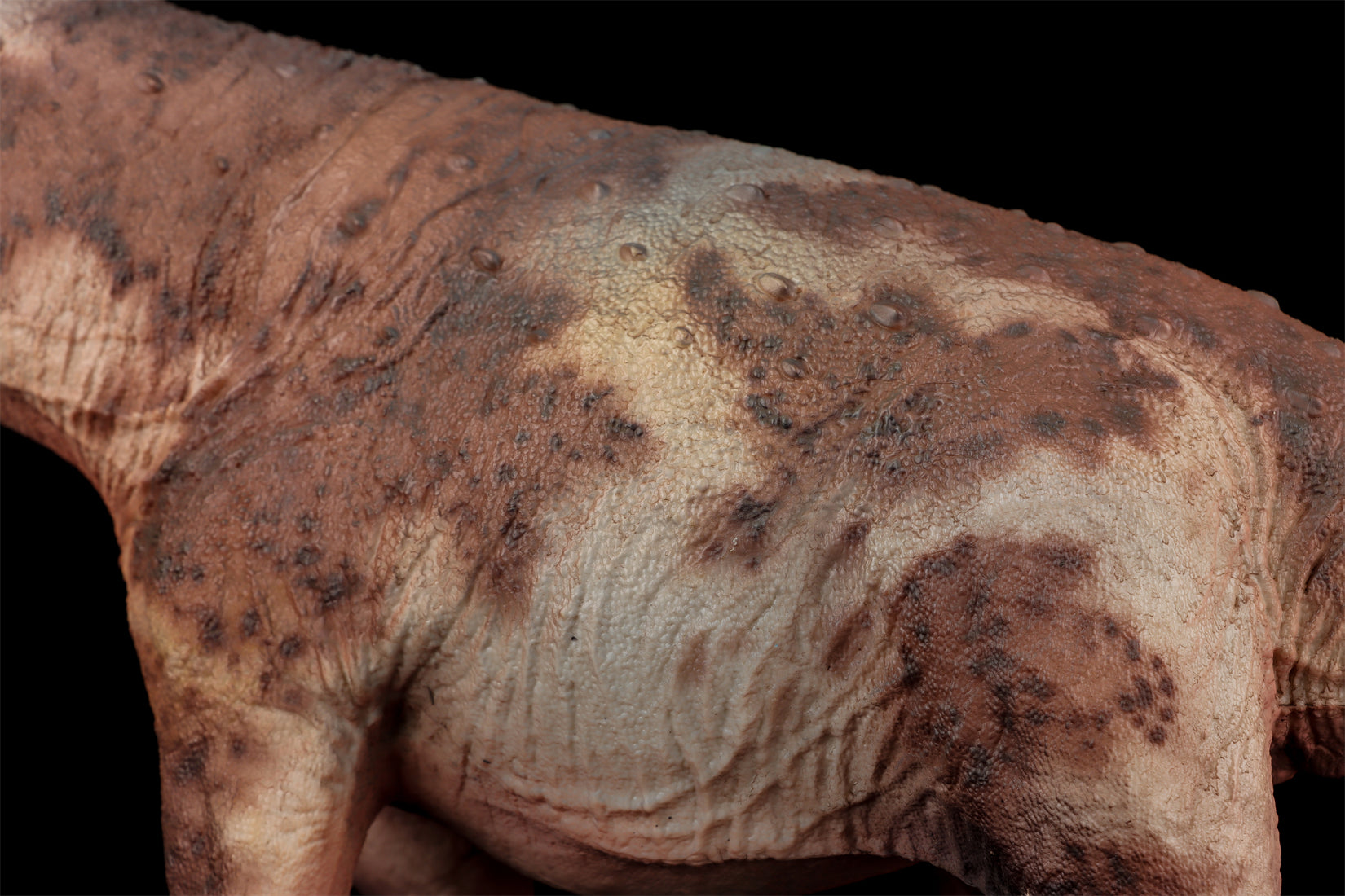 HAOLONGGOOD 1:35 Scale Dreadnoughtus Model
