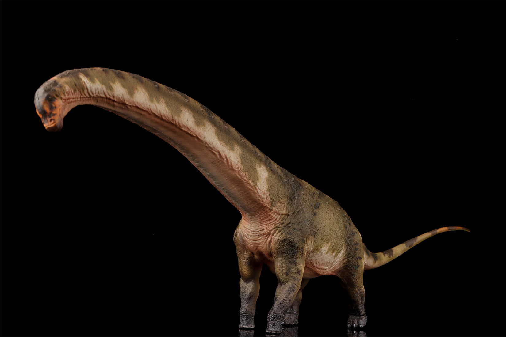 HAOLONGGOOD 1:35 Scale Dreadnoughtus Model