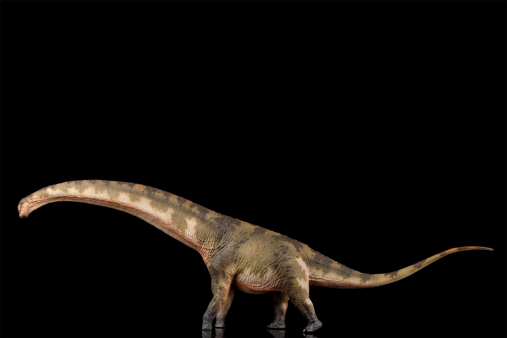 HAOLONGGOOD 1:35 Scale Dreadnoughtus Model