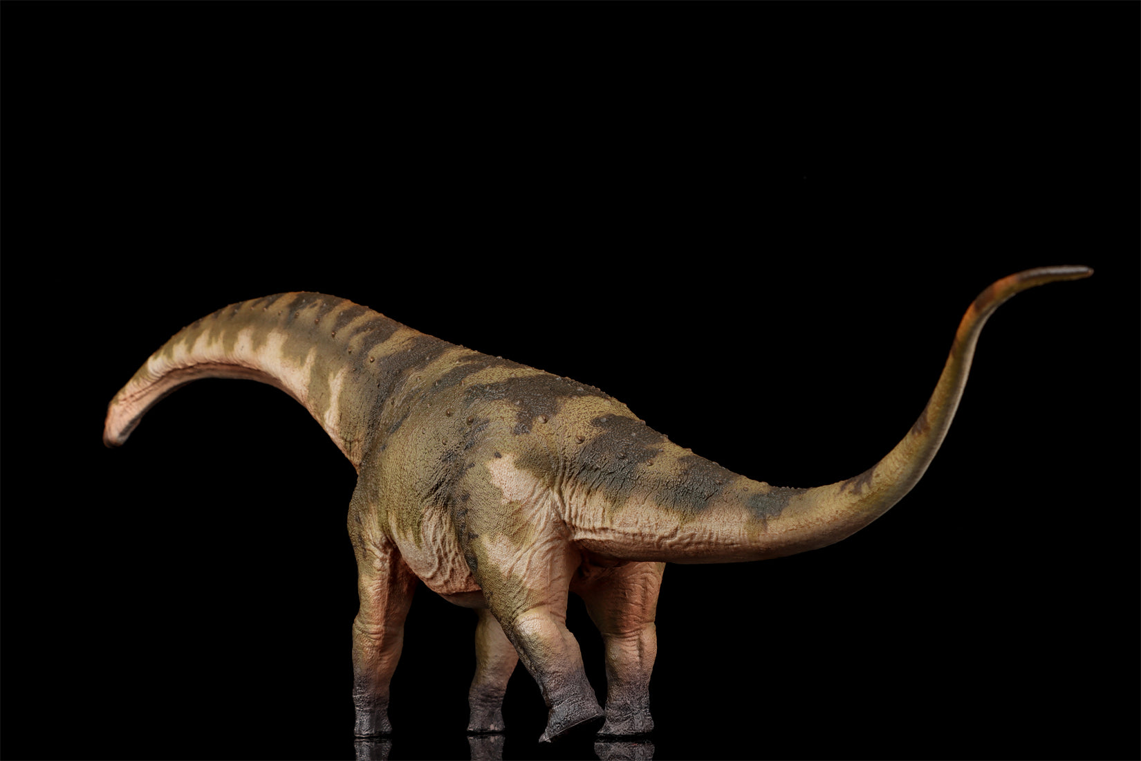 HAOLONGGOOD 1:35 Scale Dreadnoughtus Model